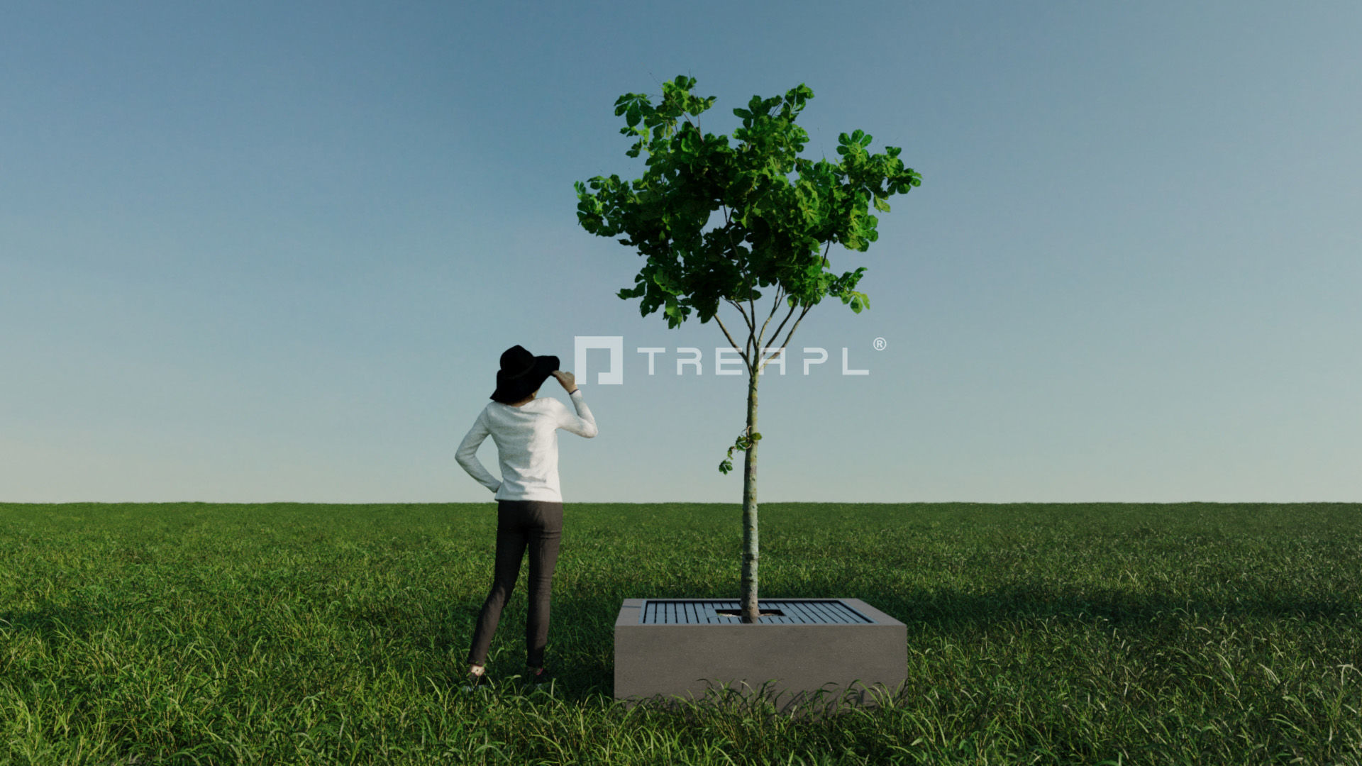 110X Hyper Trees by Treapl 3D model_127