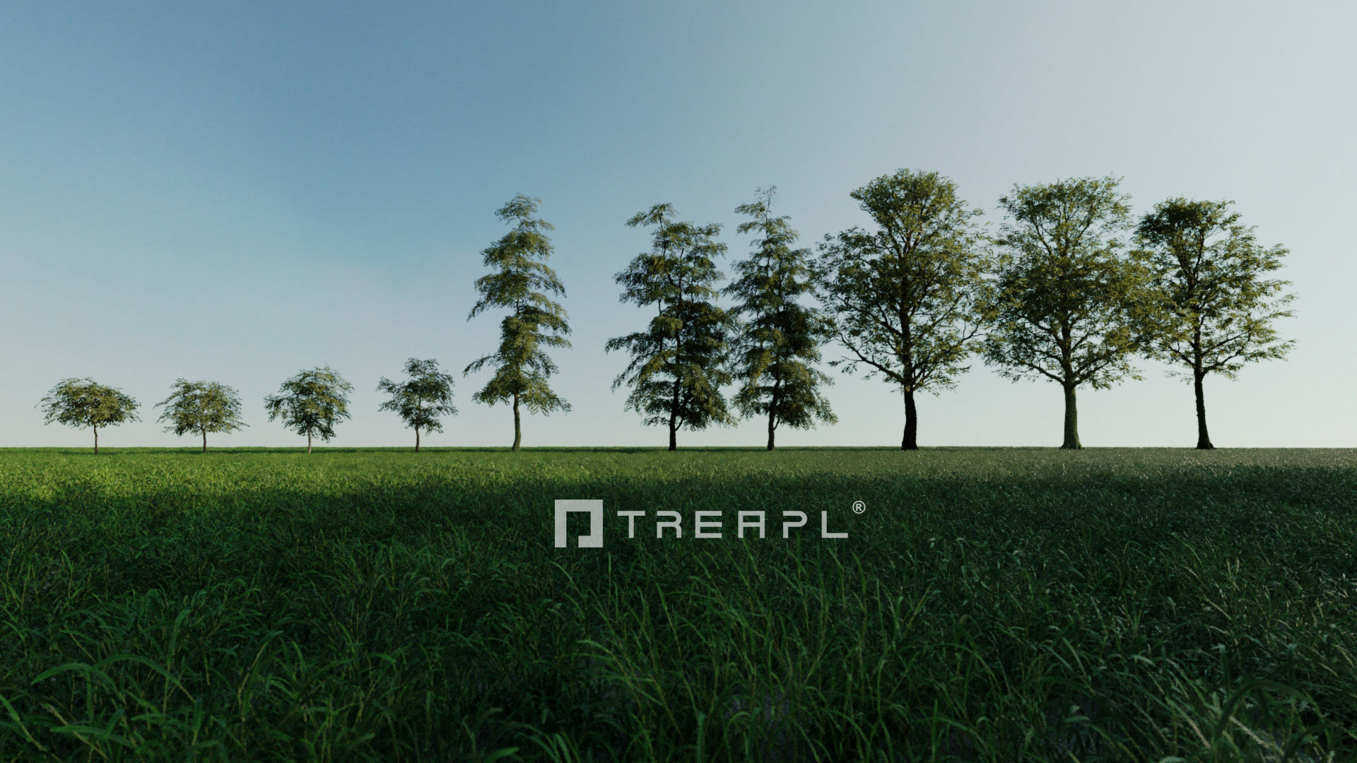 110X Hyper Trees by Treapl 3D model_14