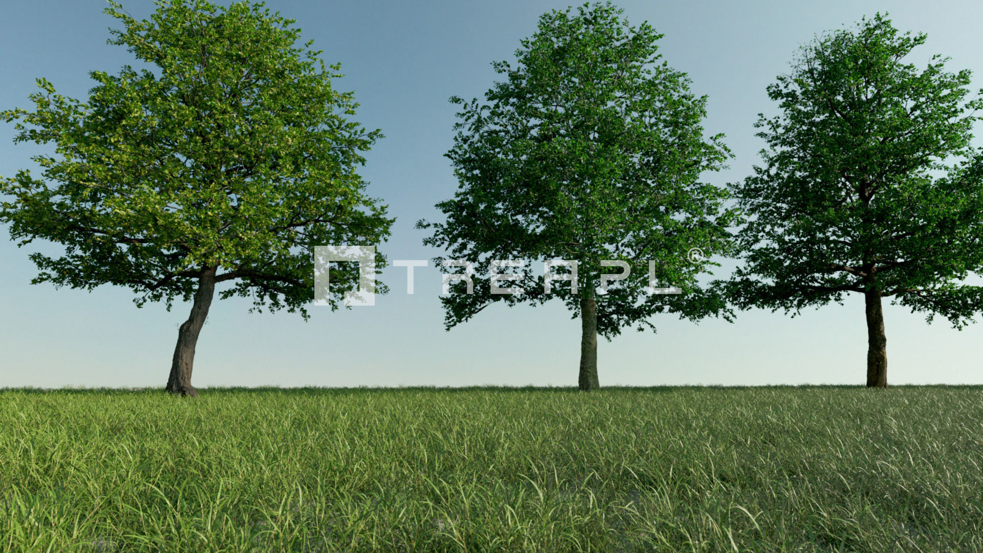 110X Hyper Trees by Treapl 3D model_104