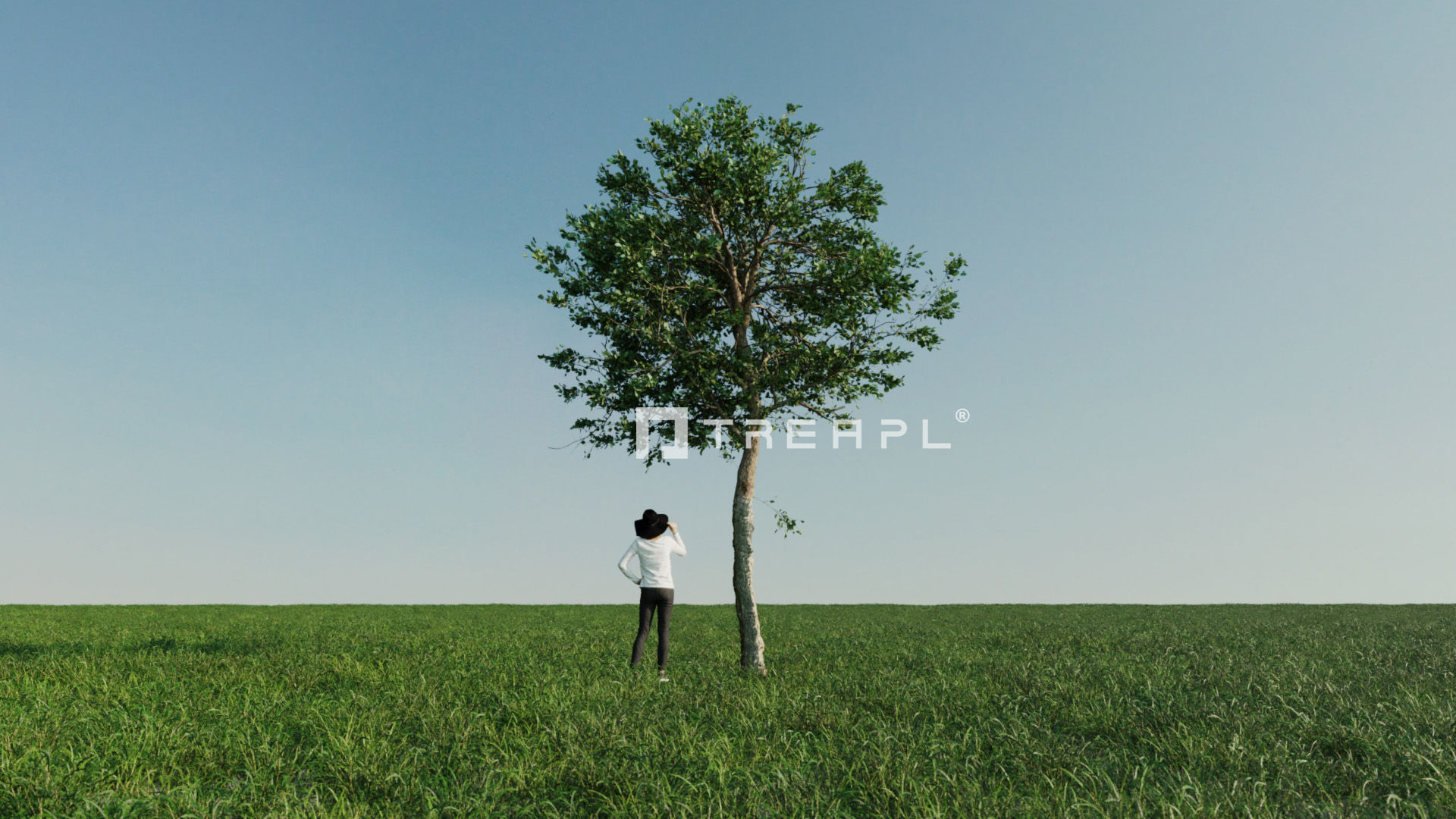 110X Hyper Trees by Treapl 3D model_40