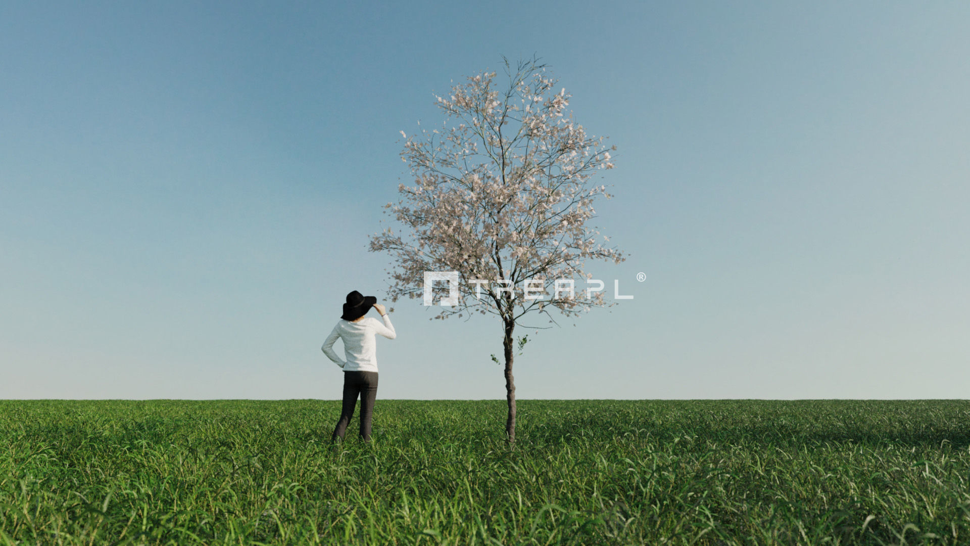 110X Hyper Trees by Treapl 3D model_30