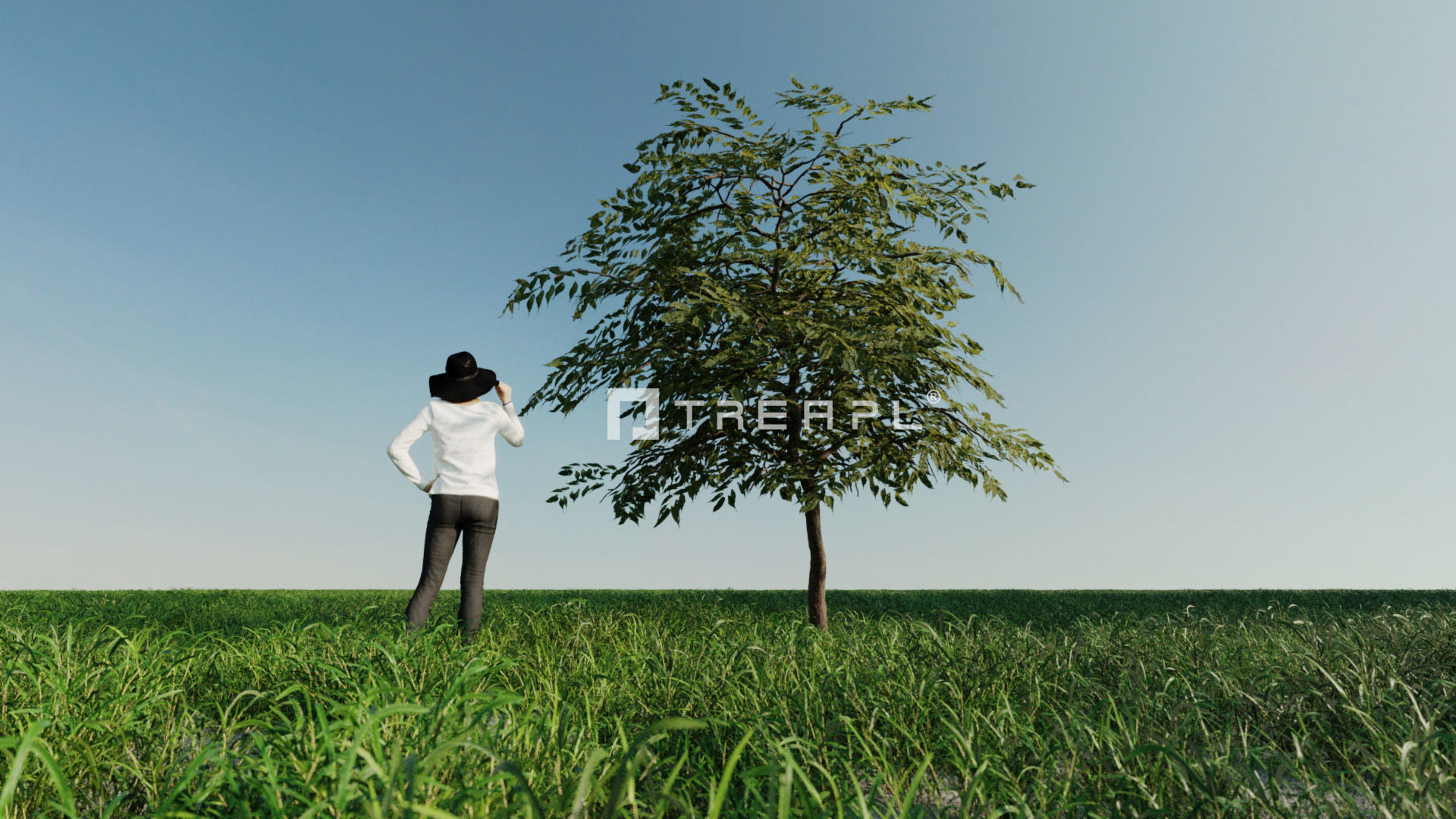 110X Hyper Trees by Treapl 3D model_22