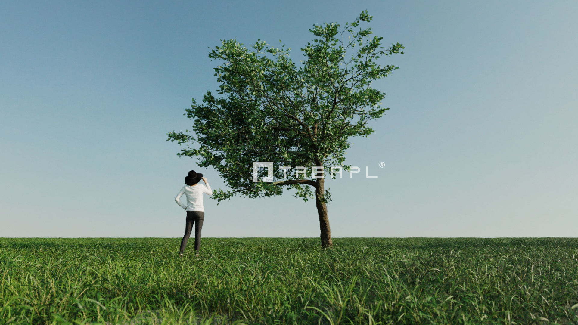 110X Hyper Trees by Treapl 3D model_36