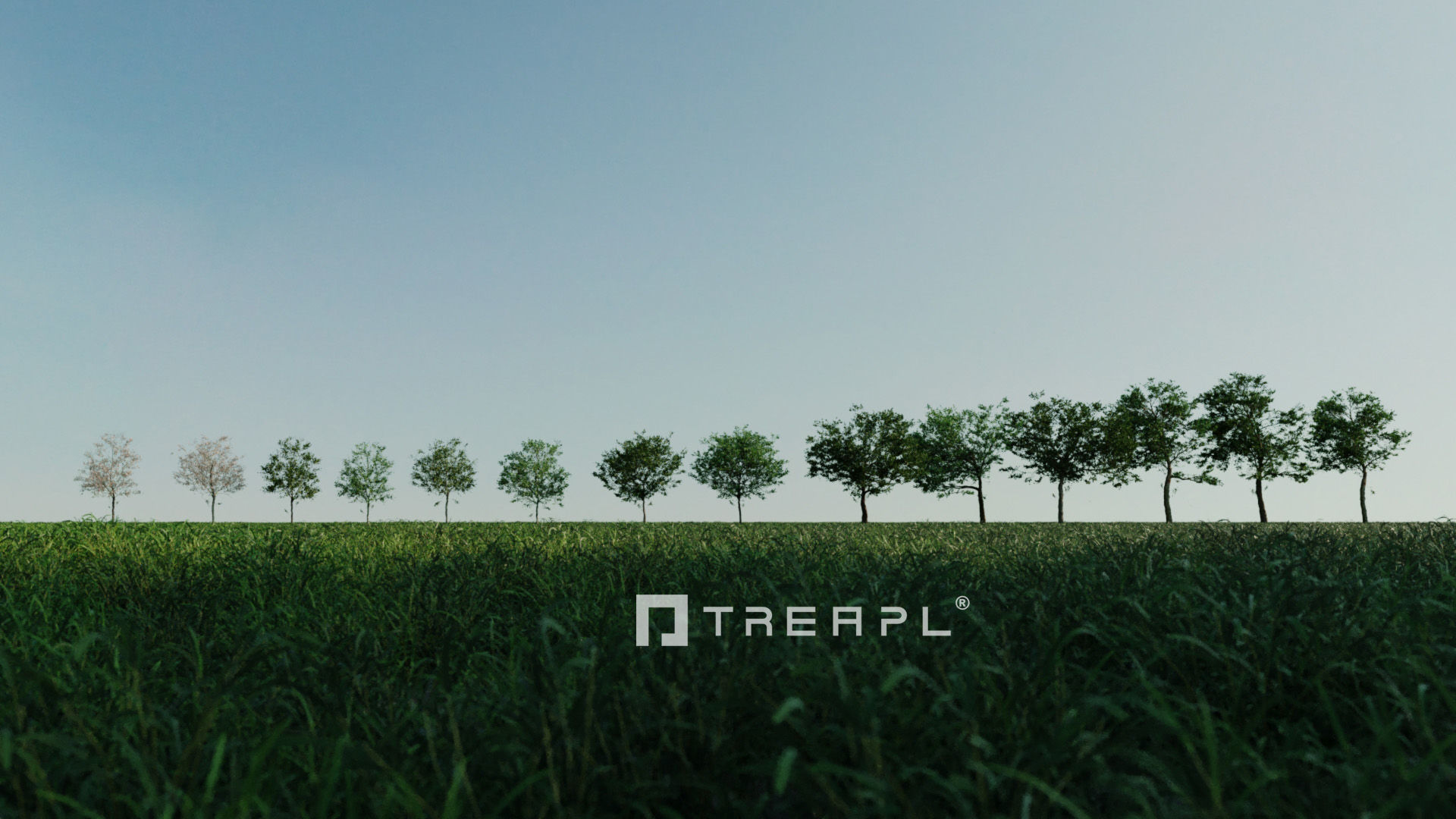 110X Hyper Trees by Treapl 3D model_18