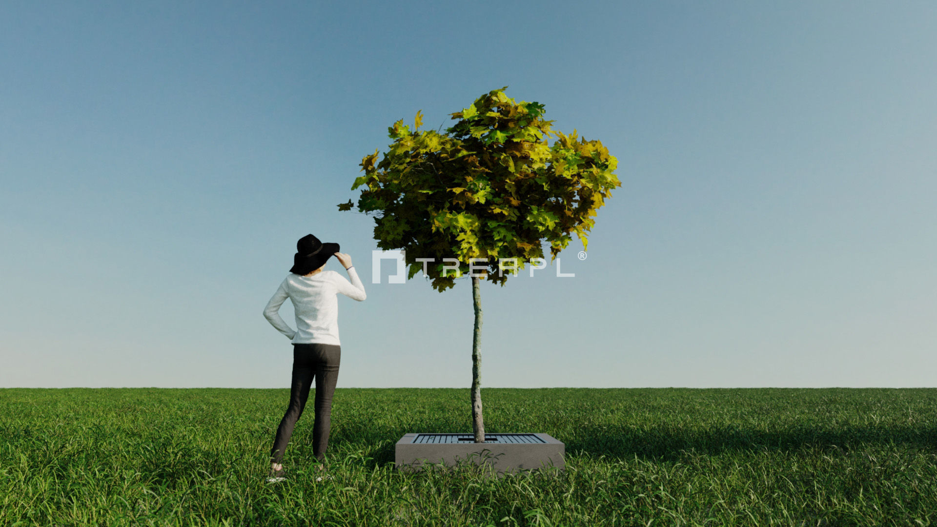 110X Hyper Trees by Treapl 3D model_92