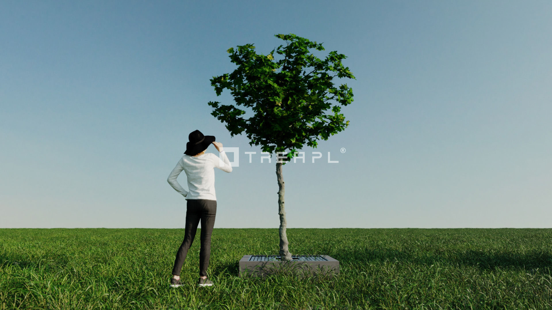 110X Hyper Trees by Treapl 3D model_91