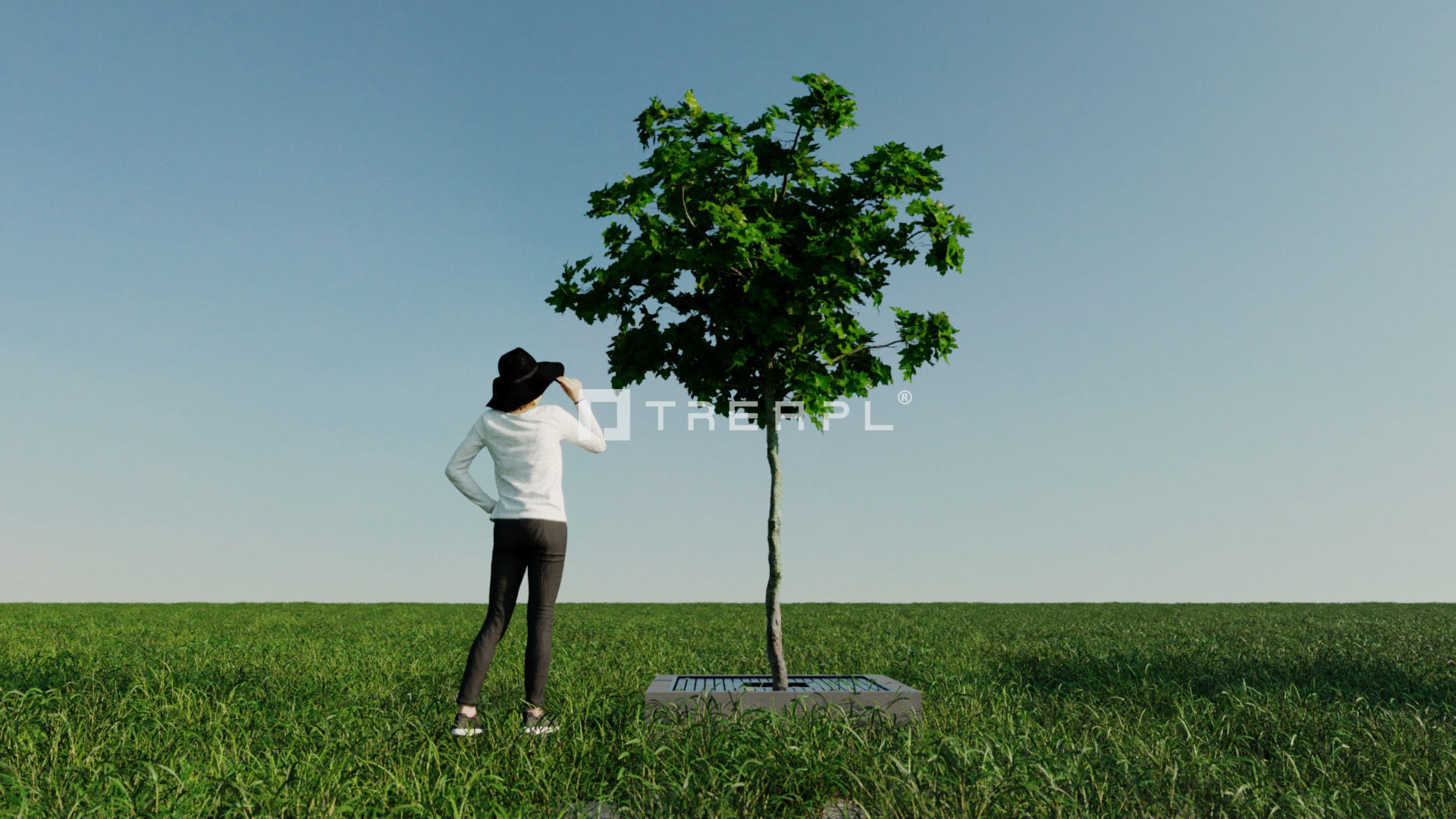 110X Hyper Trees by Treapl 3D model_90