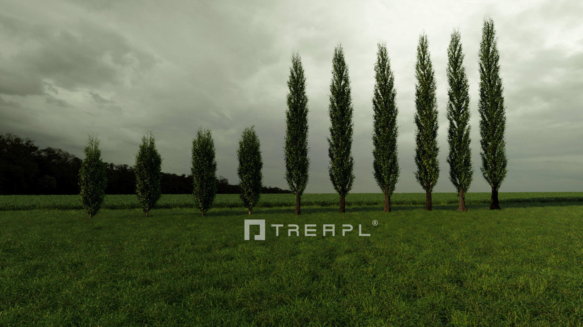 110X Hyper Trees by Treapl 3D model_13