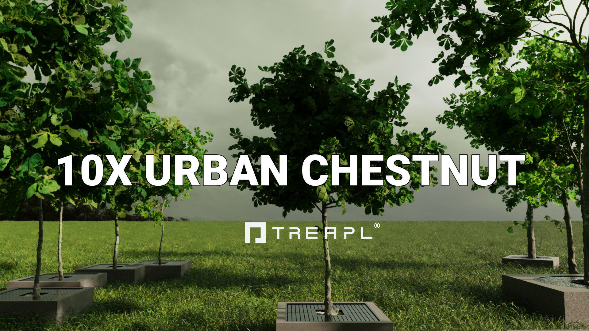 110X Hyper Trees by Treapl 3D model_10