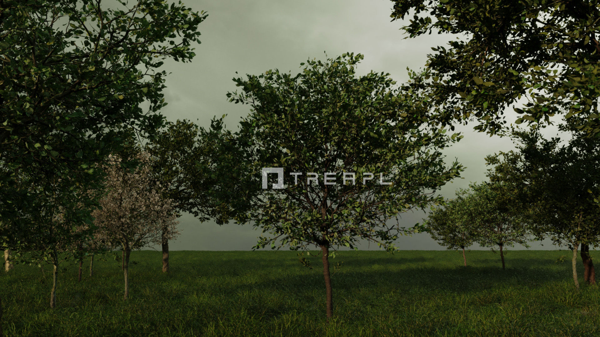 110X Hyper Trees by Treapl 3D model_29