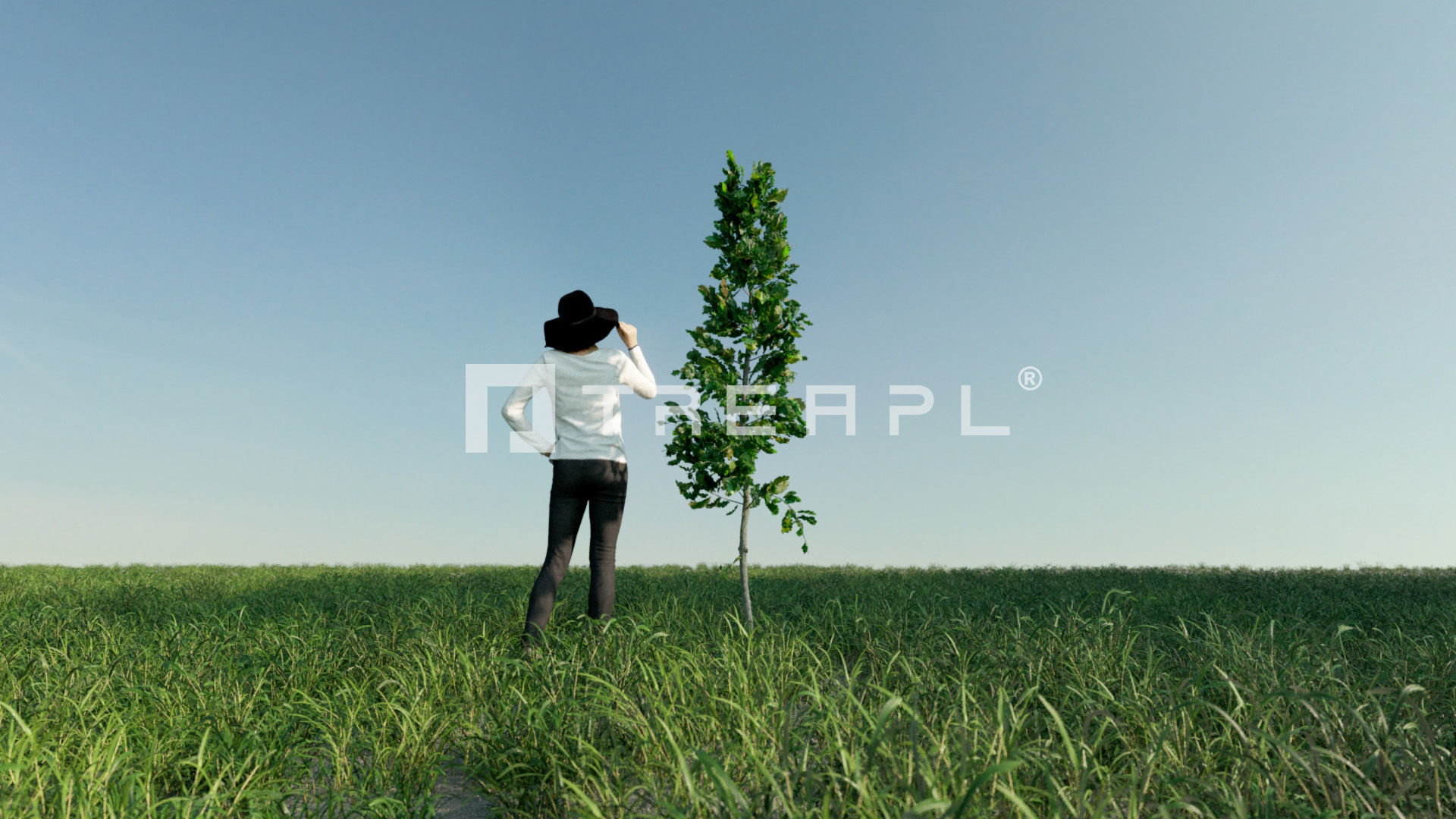 110X Hyper Trees by Treapl 3D model_106