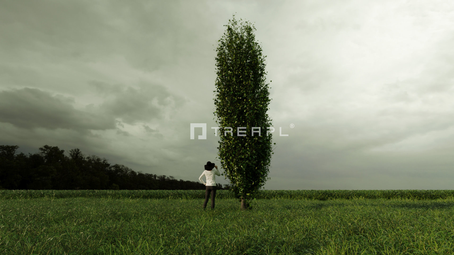 110X Hyper Trees by Treapl 3D model_118