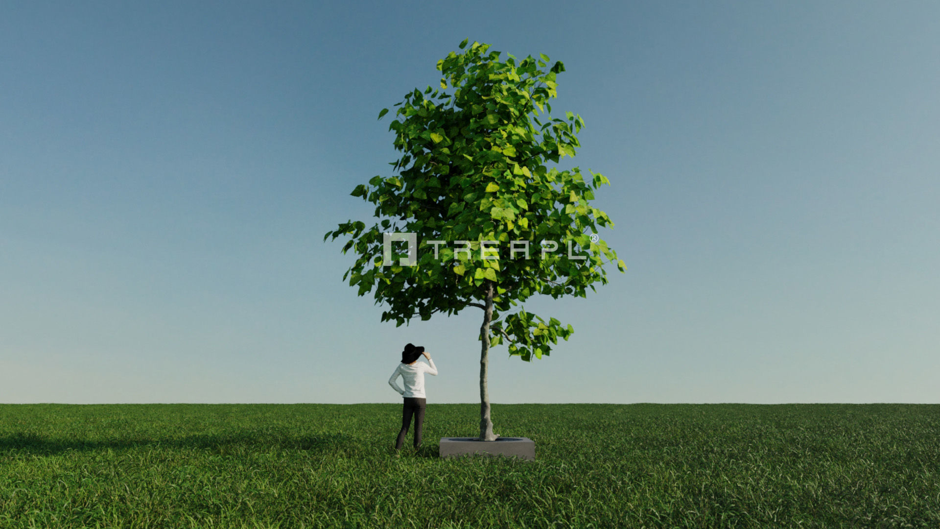 110X Hyper Trees by Treapl 3D model_67