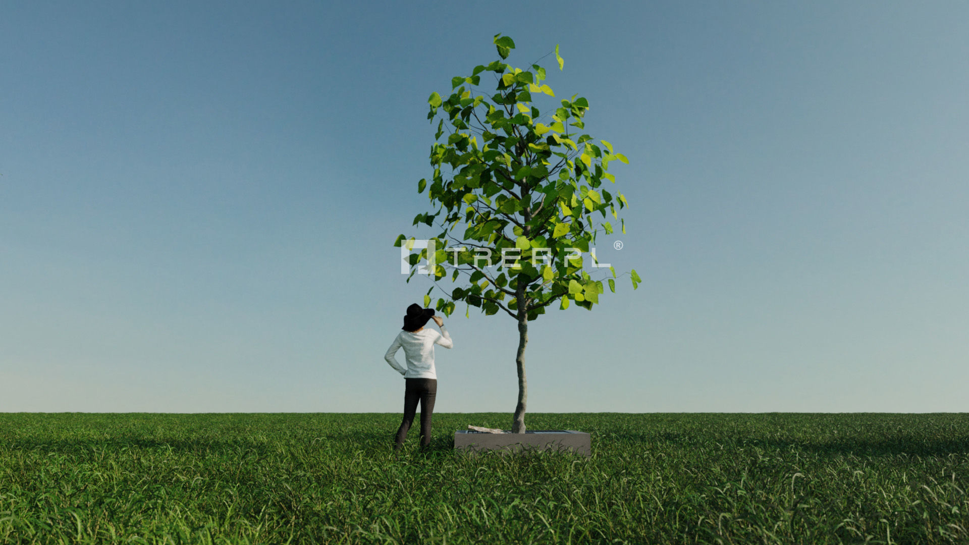 110X Hyper Trees by Treapl 3D model_64