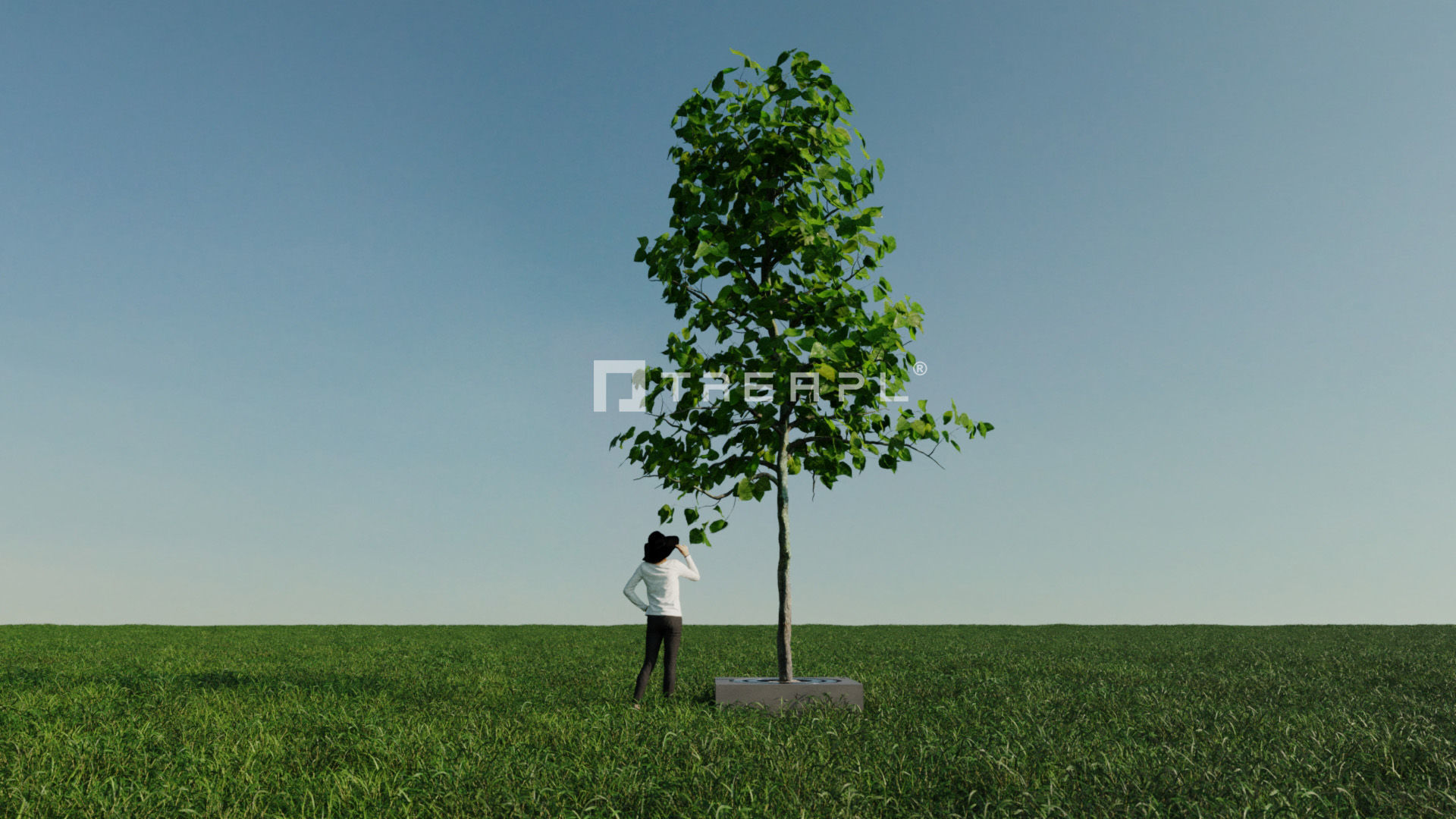 110X Hyper Trees by Treapl 3D model_66