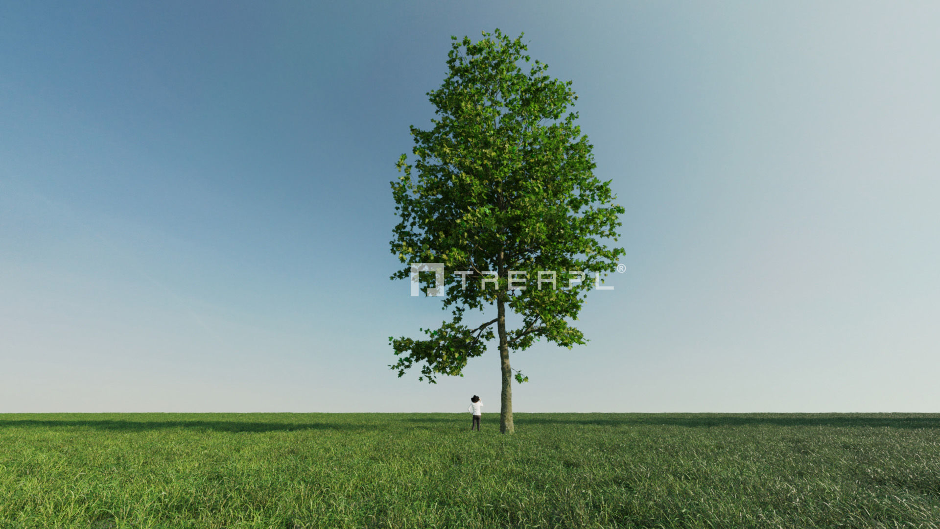 110X Hyper Trees by Treapl 3D model_83