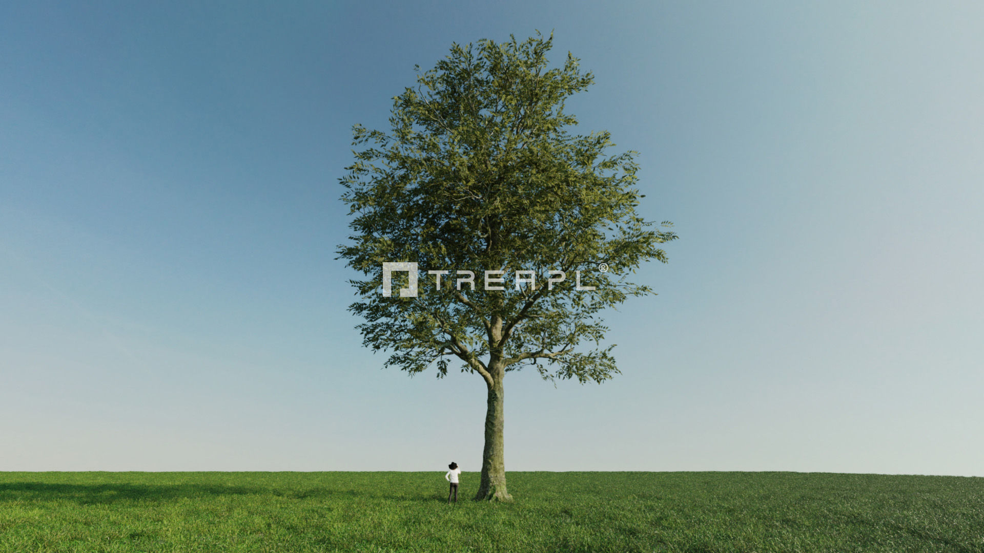 110X Hyper Trees by Treapl 3D model_26