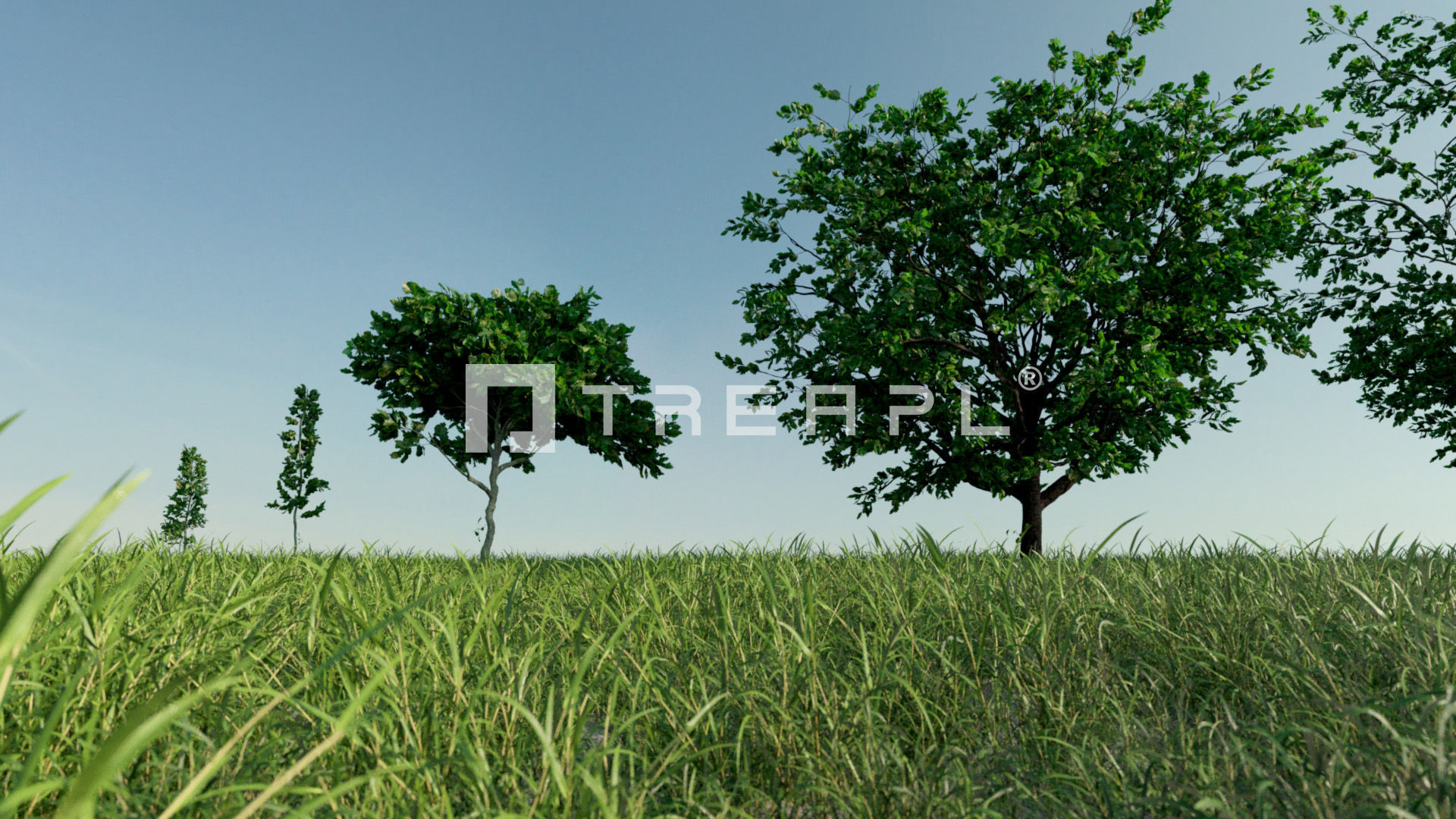 110X Hyper Trees by Treapl 3D model_100