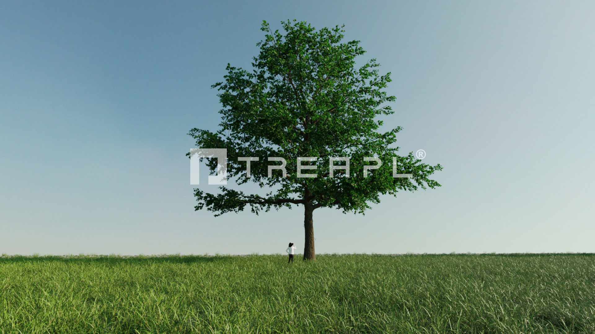 110X Hyper Trees by Treapl 3D model_111