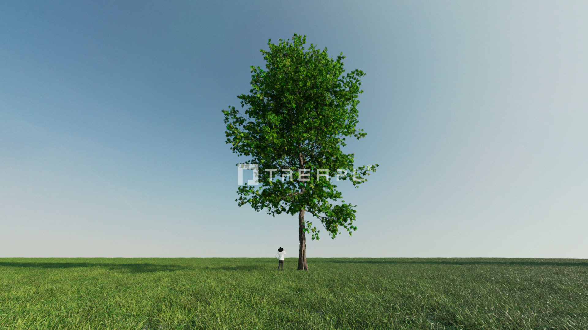110X Hyper Trees by Treapl 3D model_85