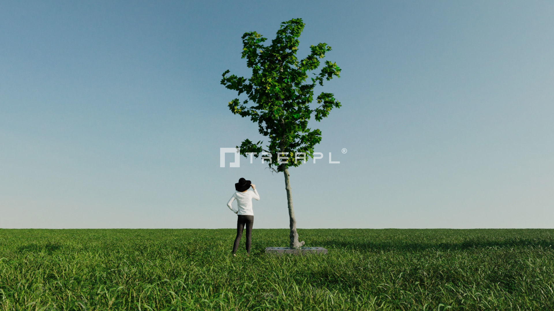 110X Hyper Trees by Treapl 3D model_96