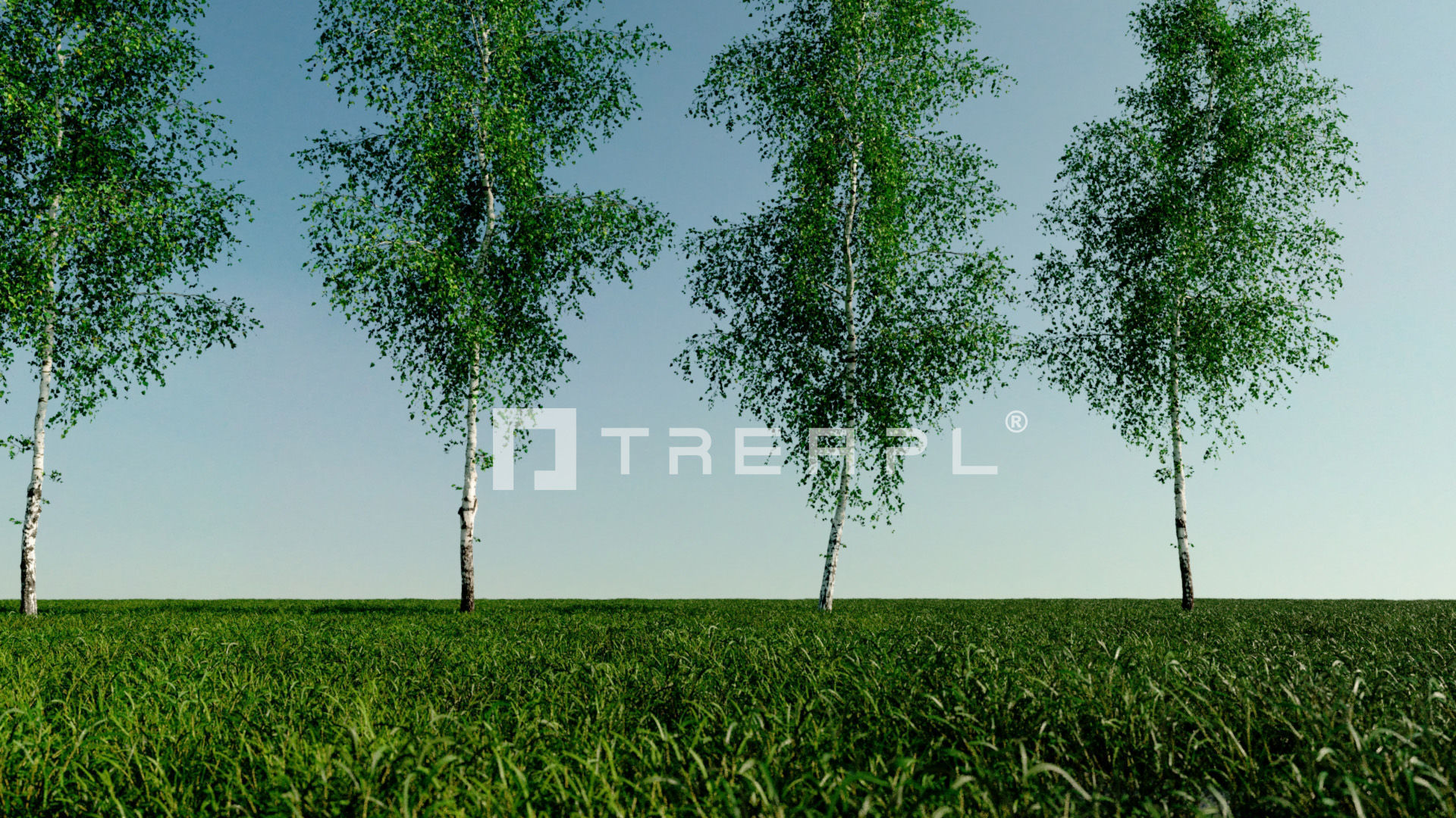 110X Hyper Trees by Treapl 3D model_47