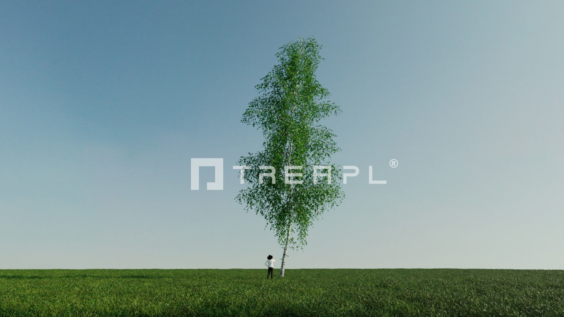 110X Hyper Trees by Treapl 3D model_56
