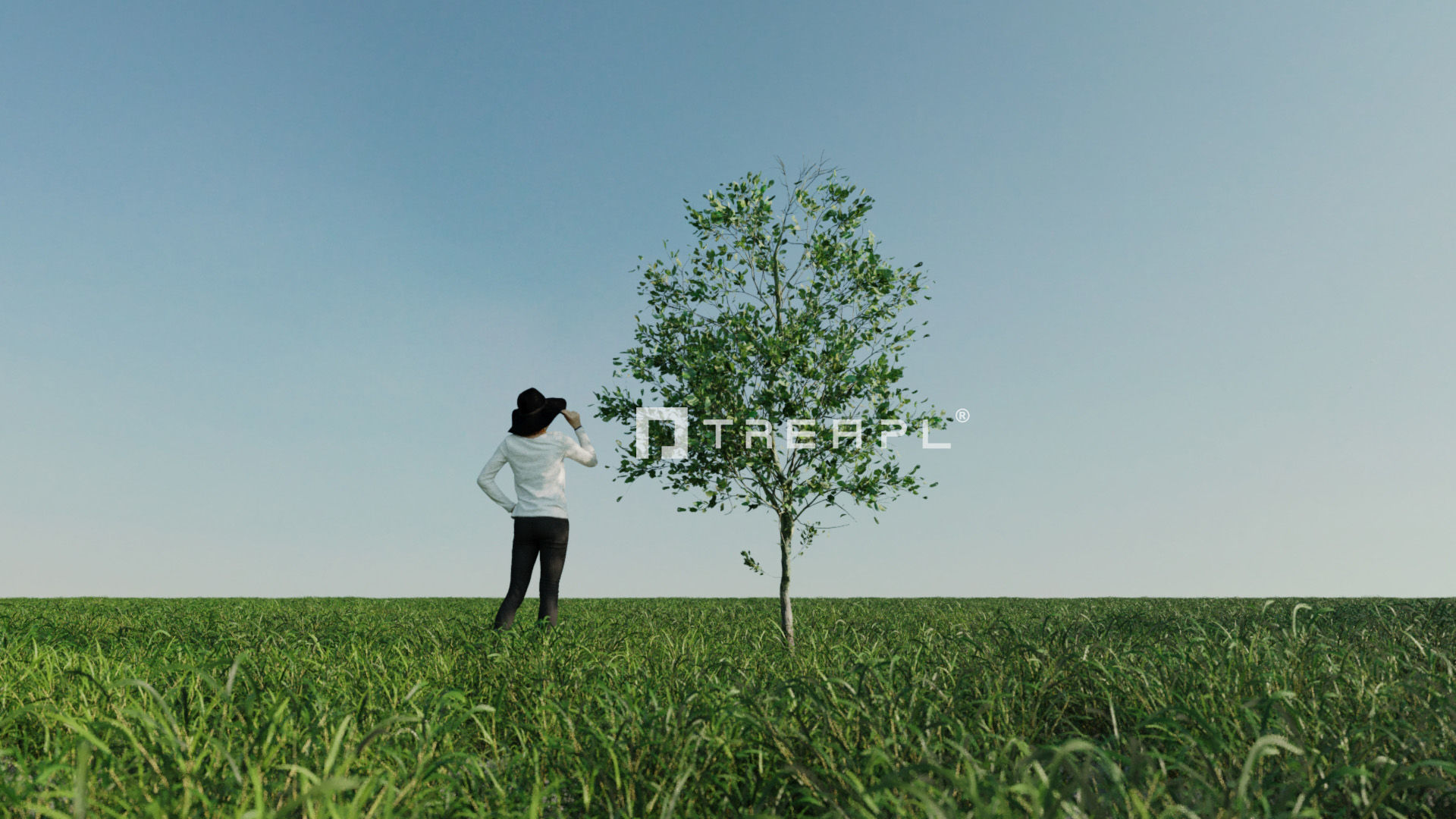 110X Hyper Trees by Treapl 3D model_32