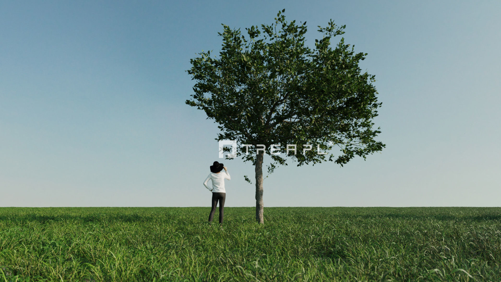 110X Hyper Trees by Treapl 3D model_37