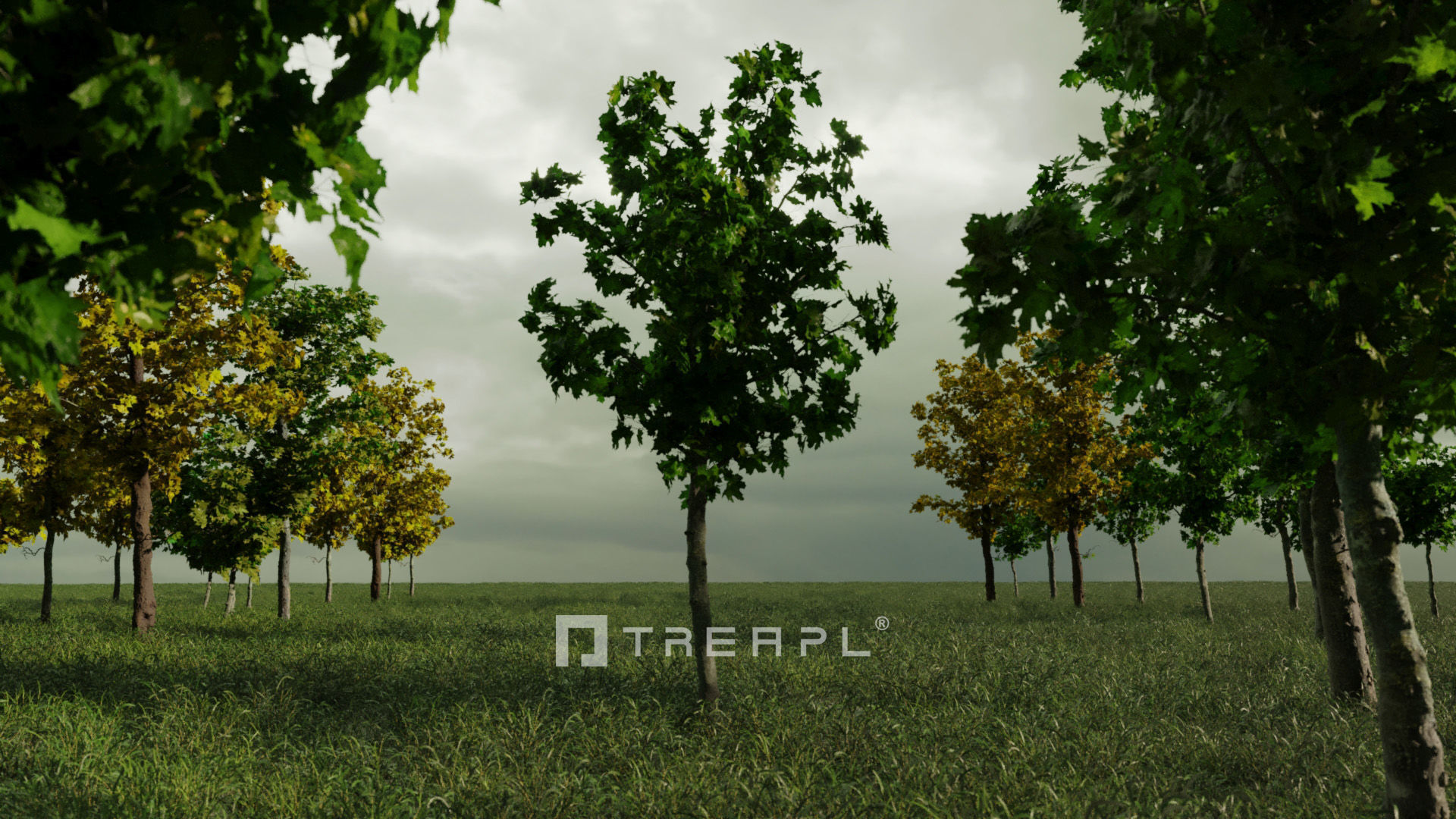 110X Hyper Trees by Treapl 3D model_80