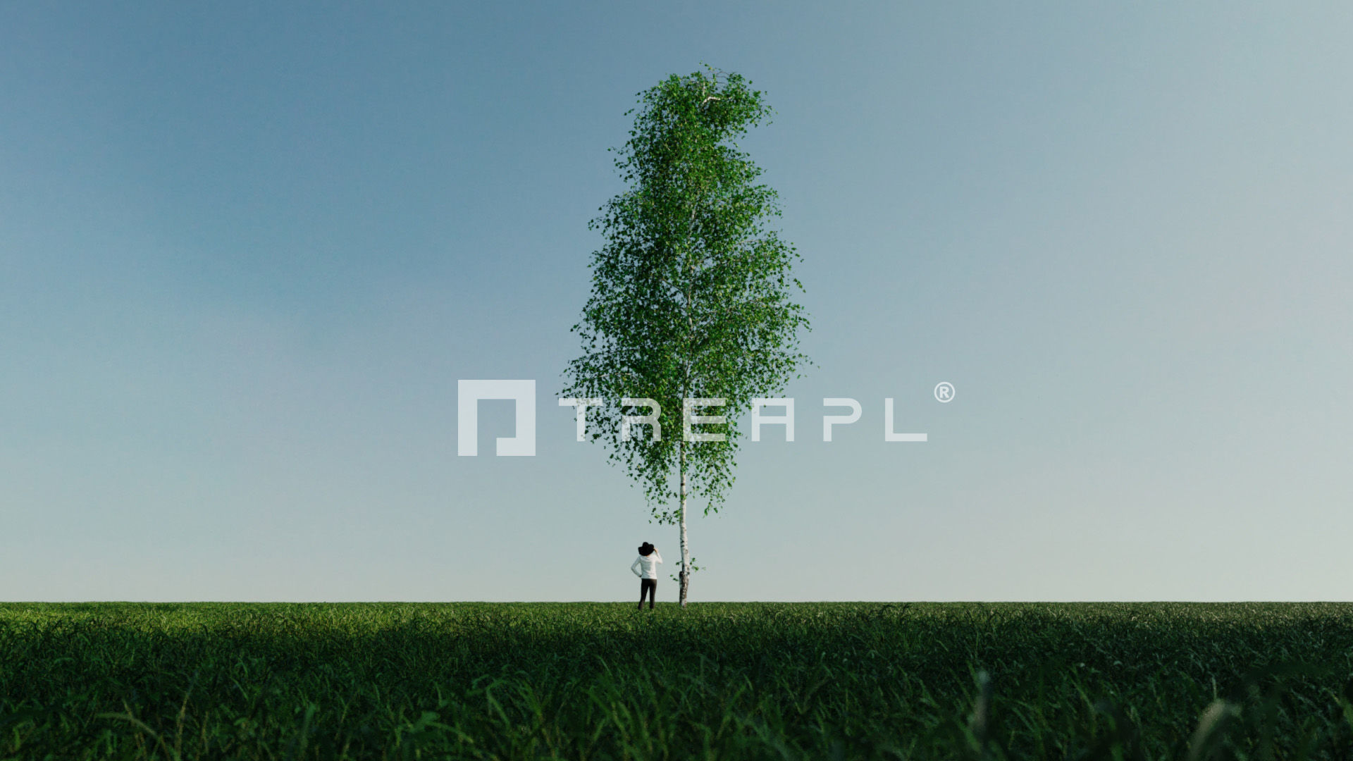 110X Hyper Trees by Treapl 3D model_51