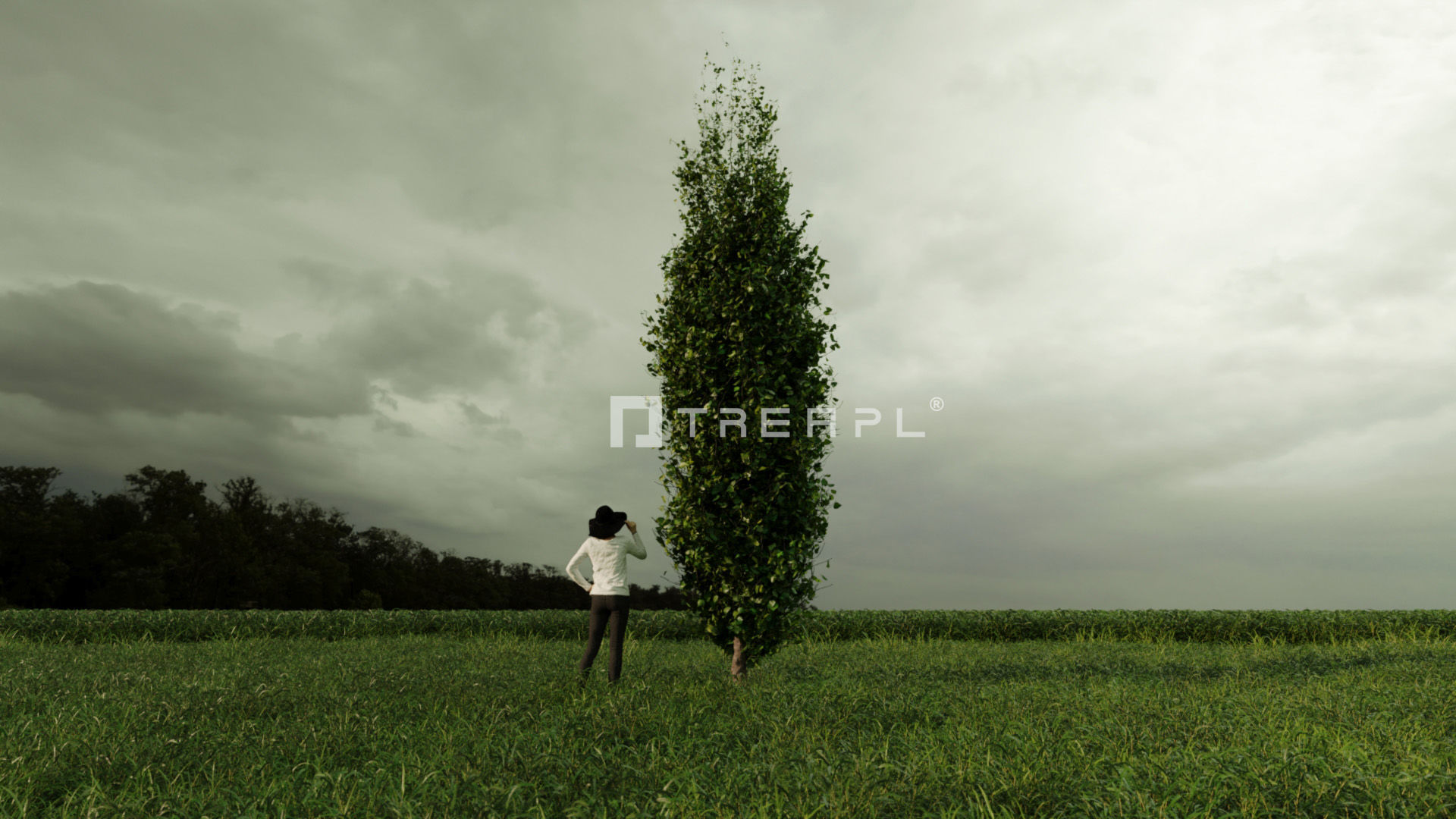 110X Hyper Trees by Treapl 3D model_116