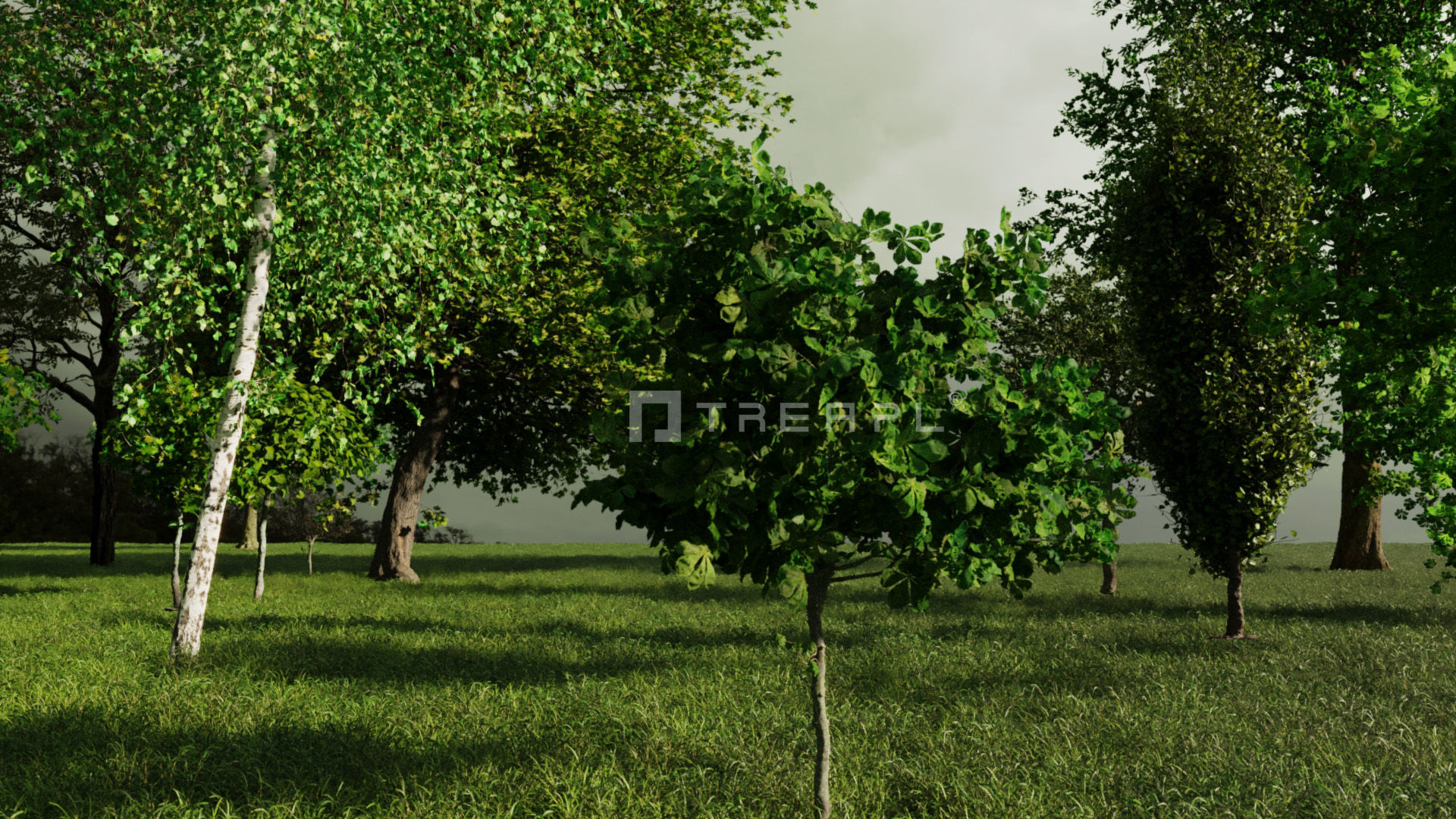110X Hyper Trees by Treapl 3D model_1