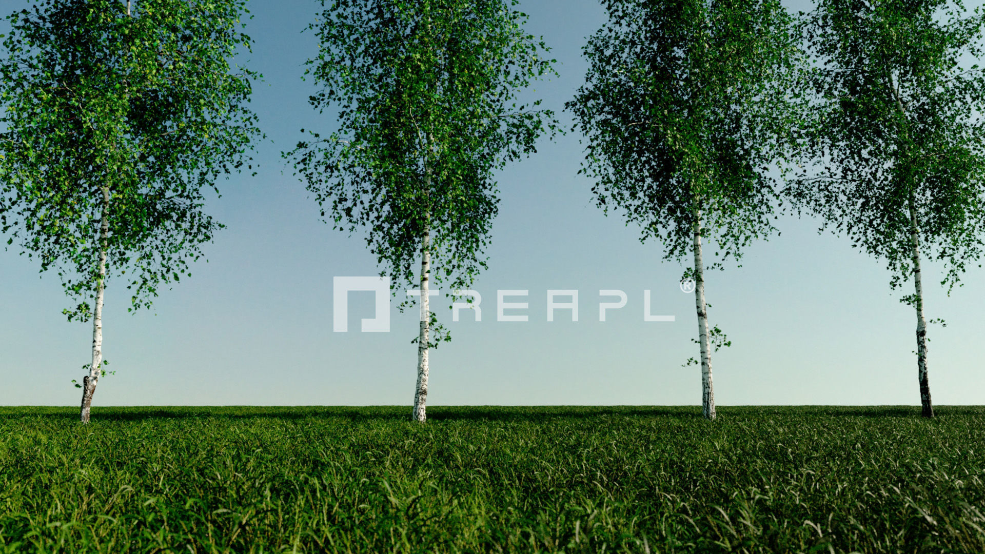 110X Hyper Trees by Treapl 3D model_44