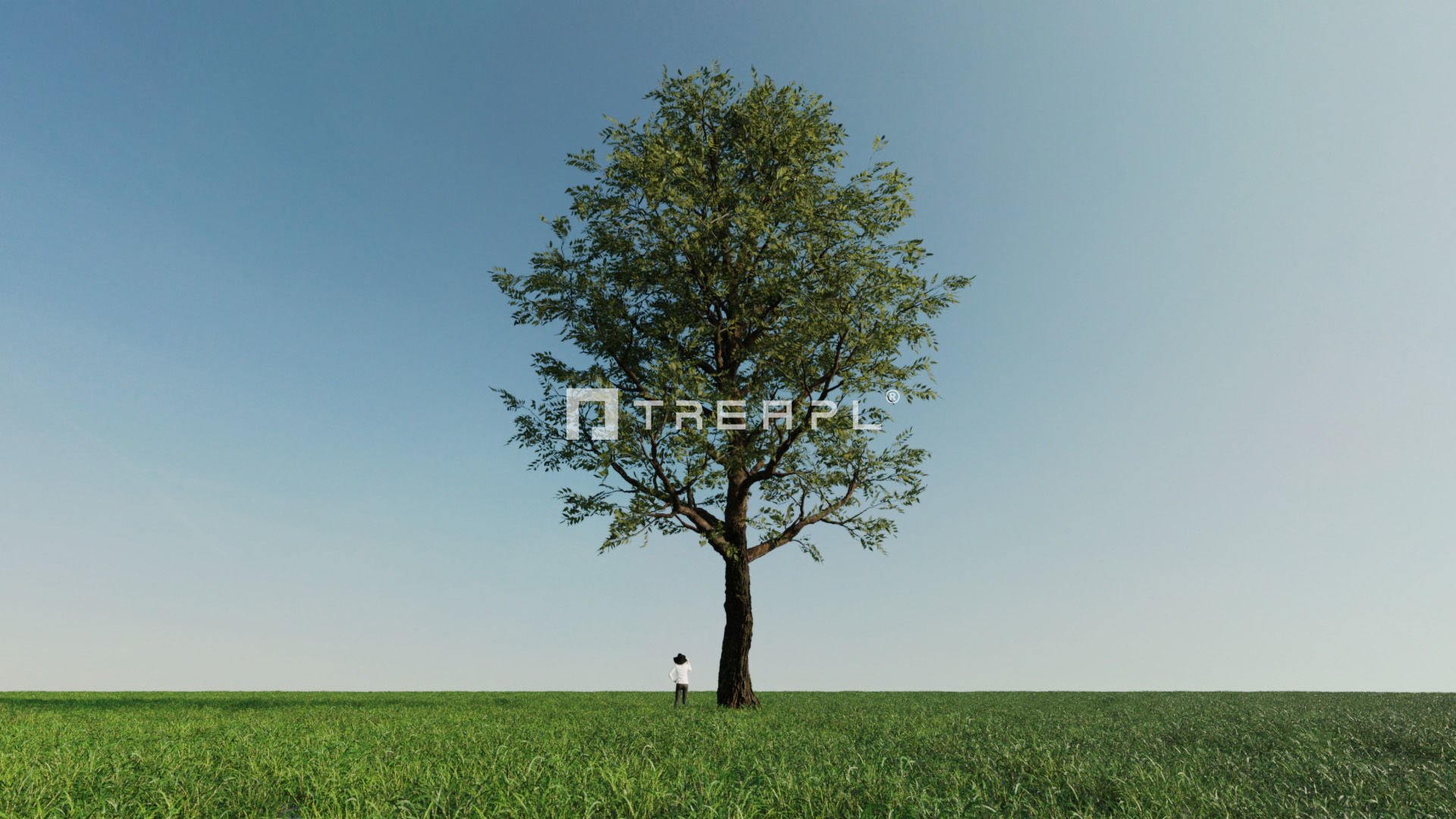 110X Hyper Trees by Treapl 3D model_25