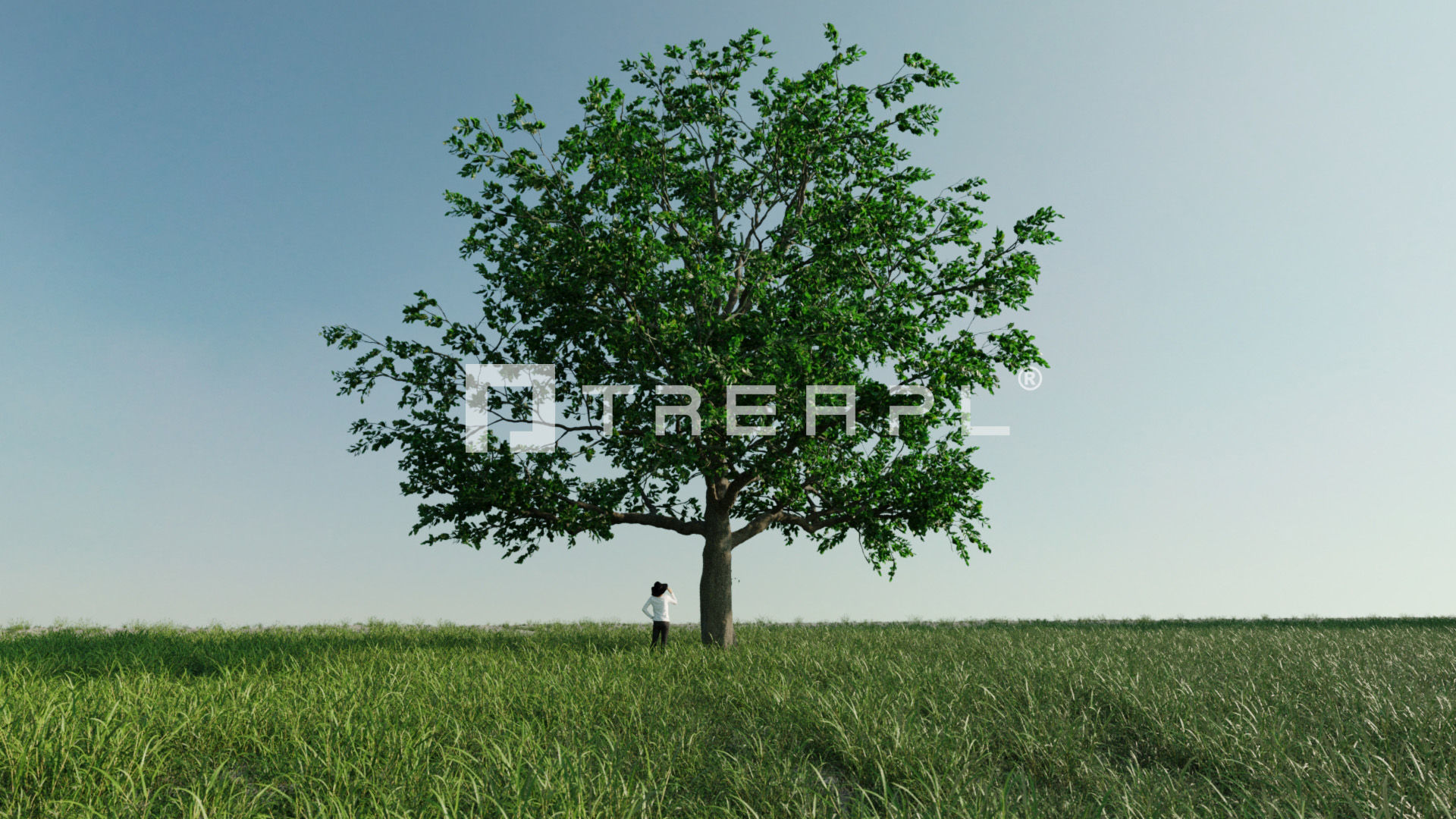 110X Hyper Trees by Treapl 3D model_109