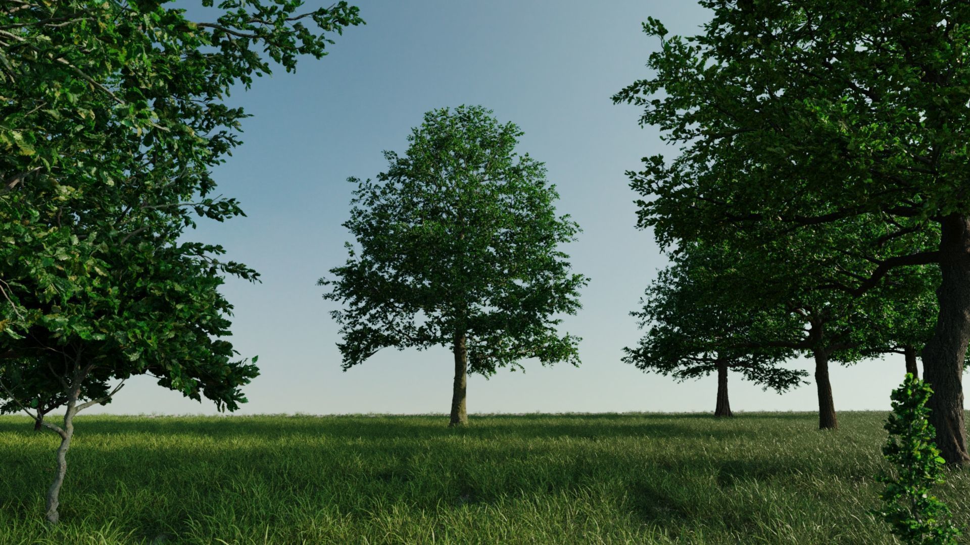 110X Hyper Trees by Treapl 3D model_81