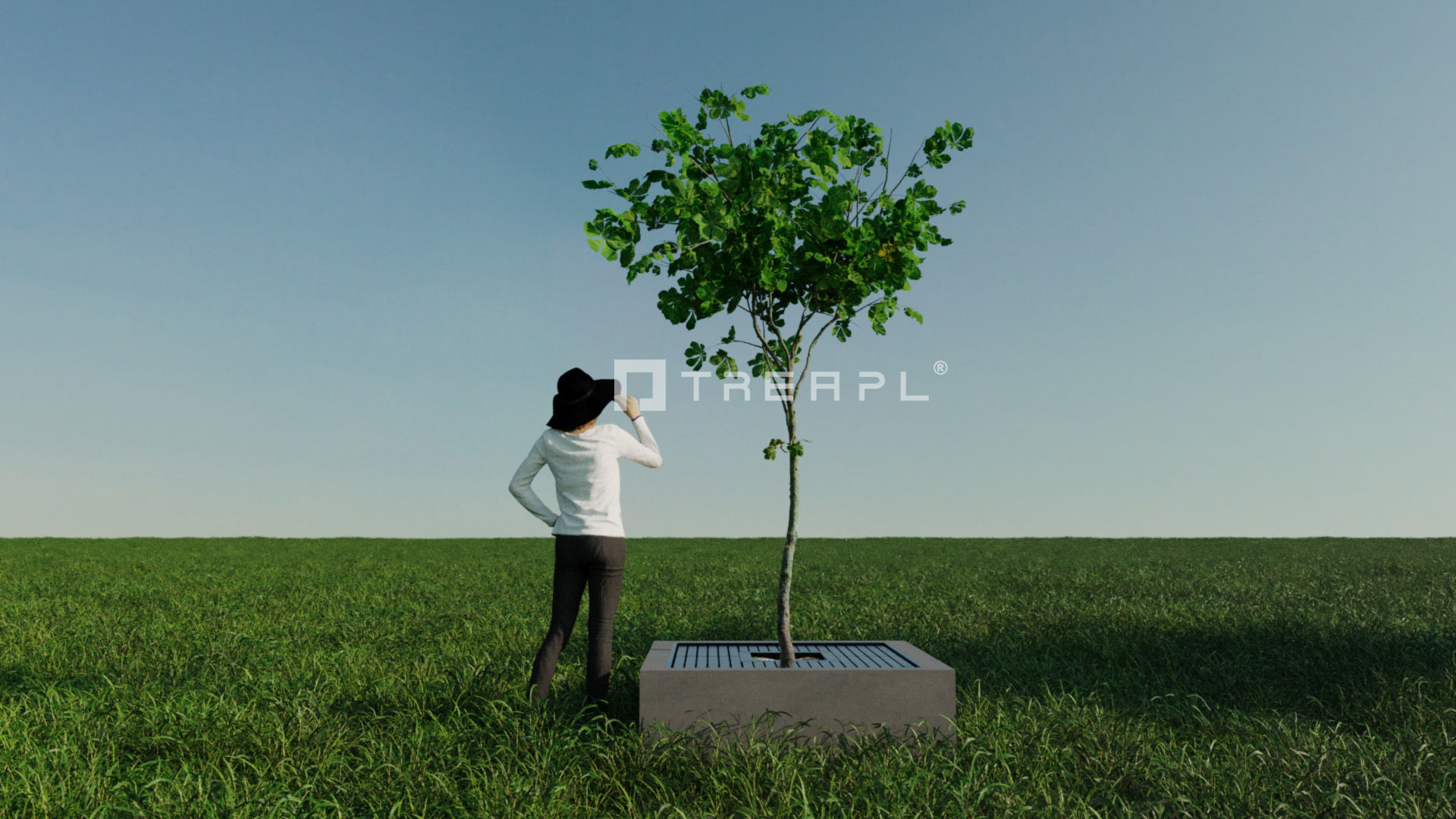 110X Hyper Trees by Treapl 3D model_126