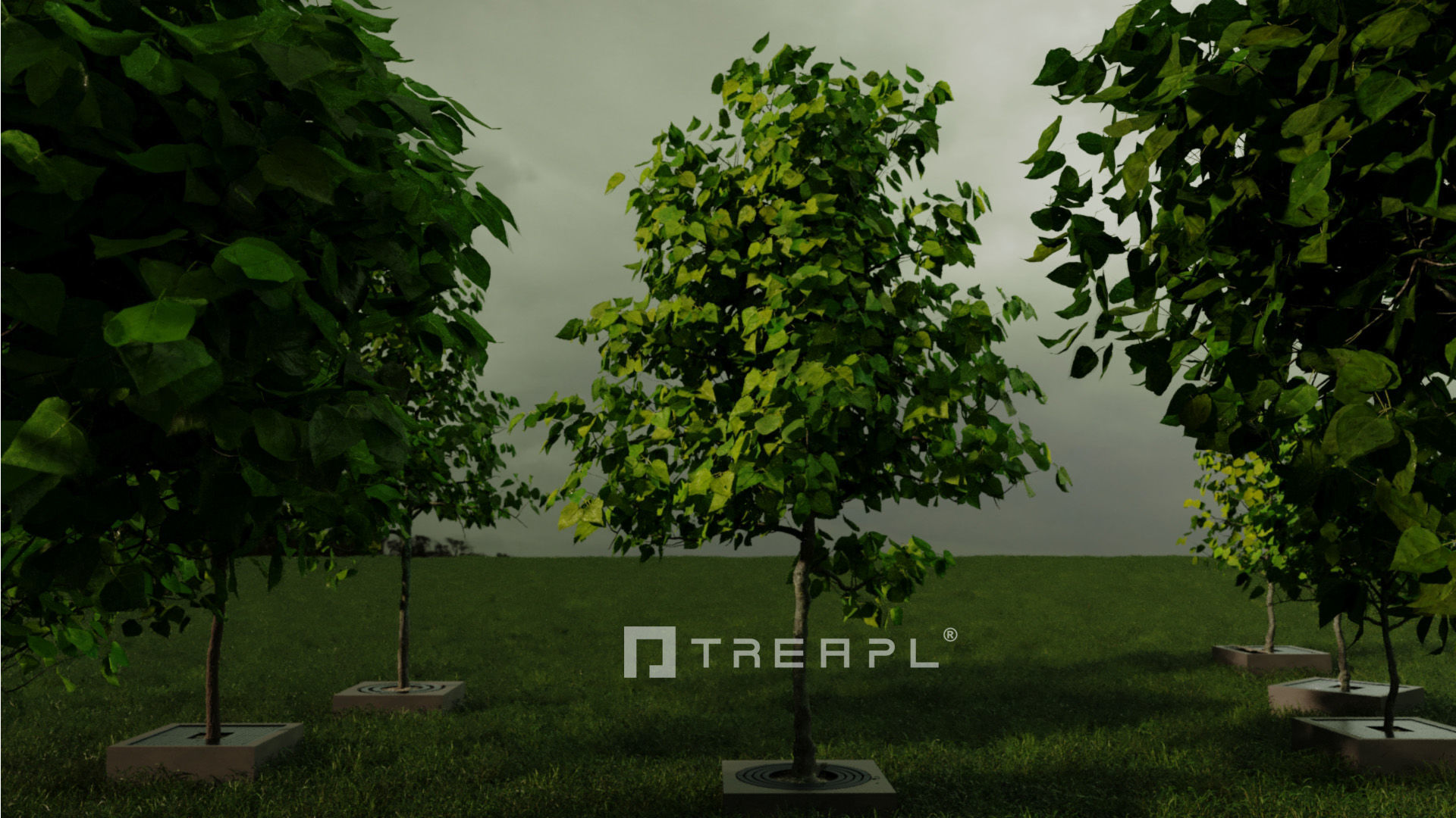 110X Hyper Trees by Treapl 3D model_58