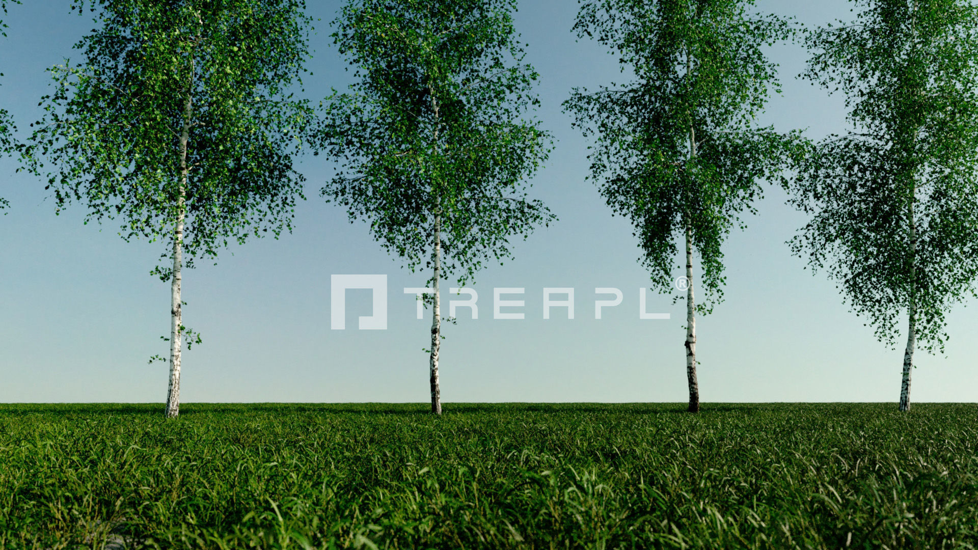 110X Hyper Trees by Treapl 3D model_45