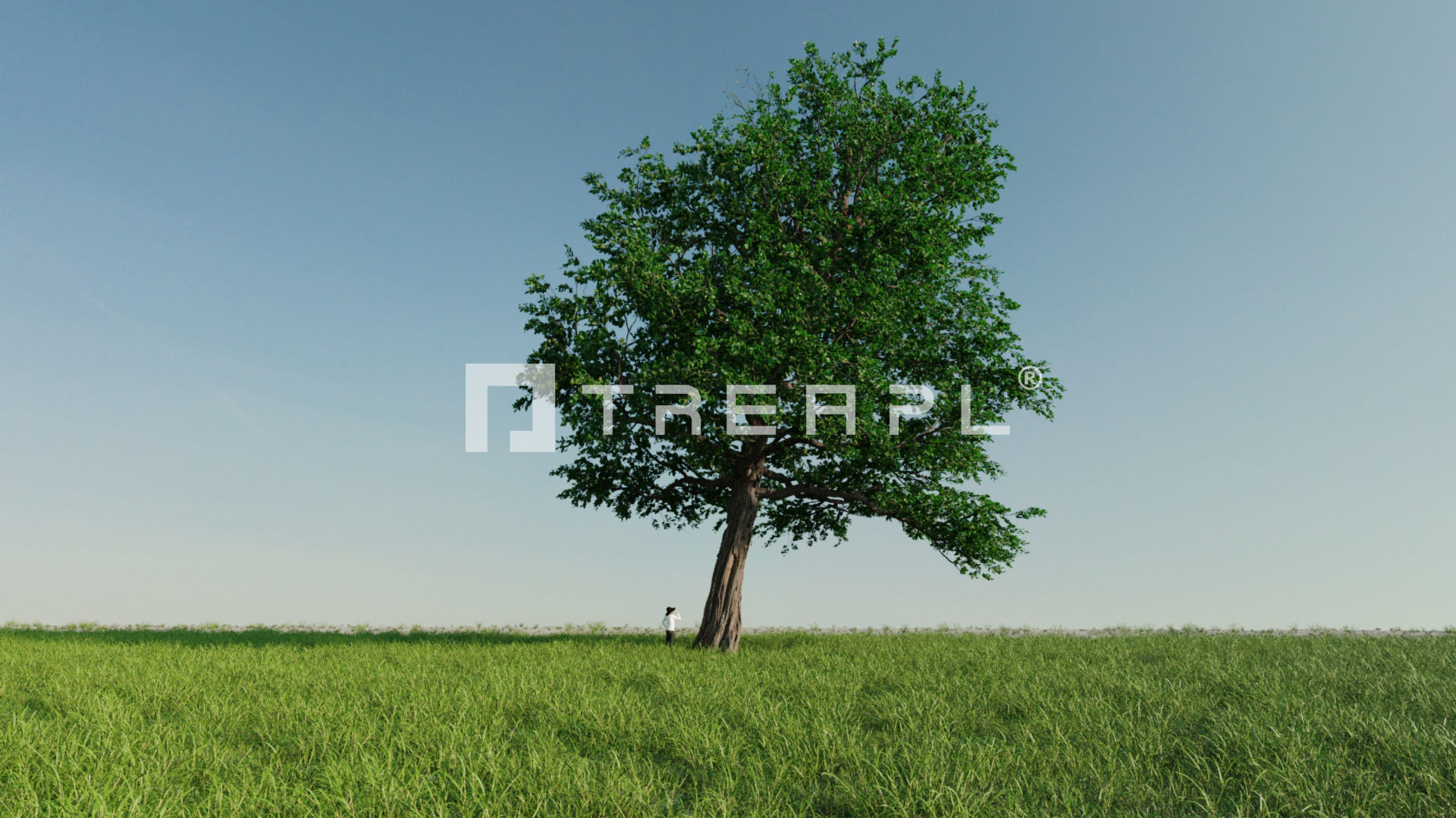 110X Hyper Trees by Treapl 3D model_114