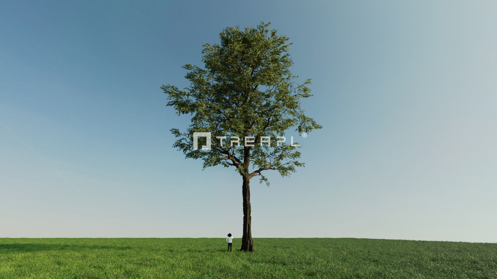 110X Hyper Trees by Treapl 3D model_27