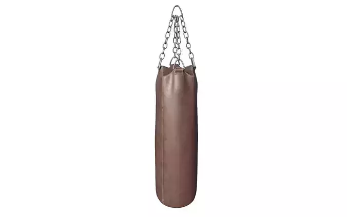 Punching Bag