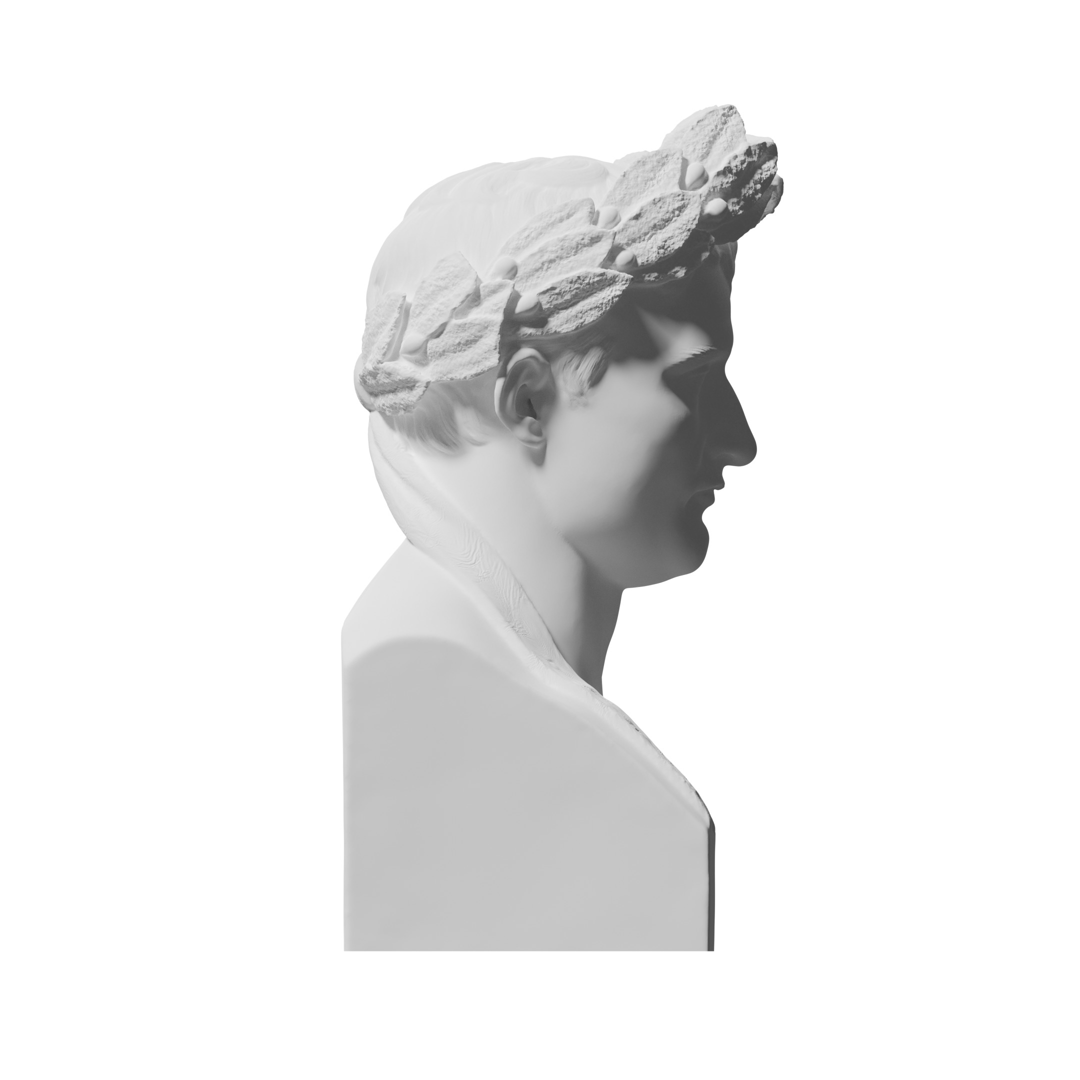 Napoleon Bonaparte Bust Highres for 3D Printing 3D print model_6