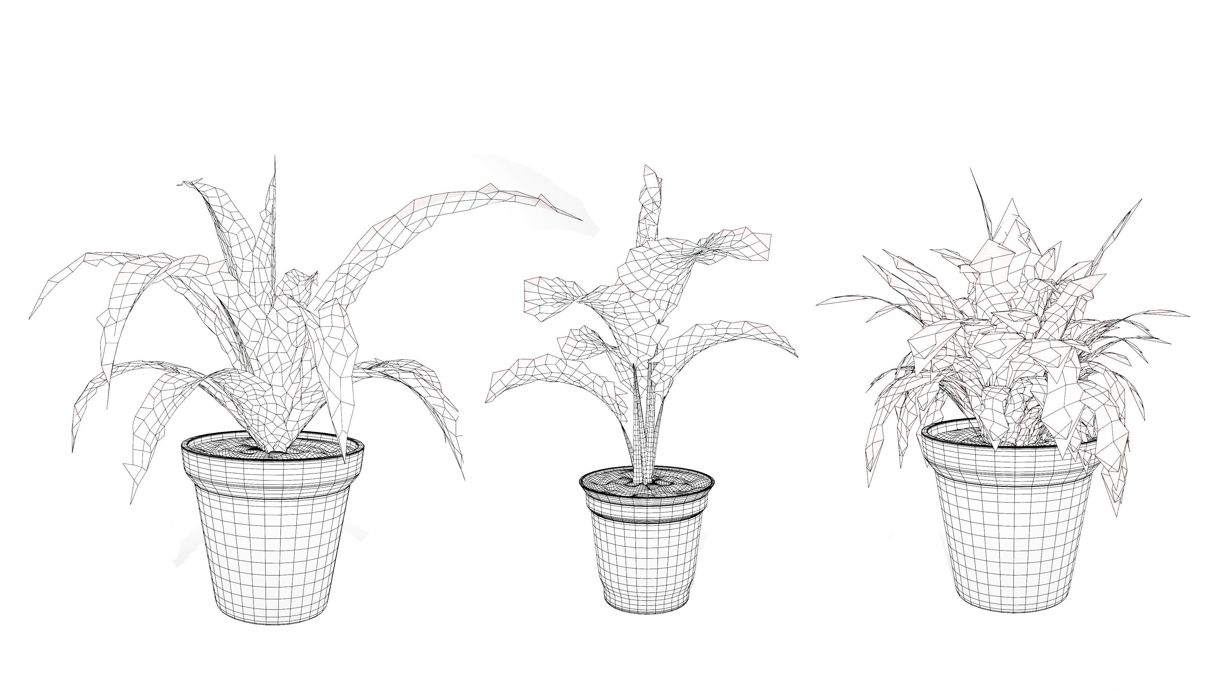 Indoor Potted Plants 3D Model Low-poly 3D model_18