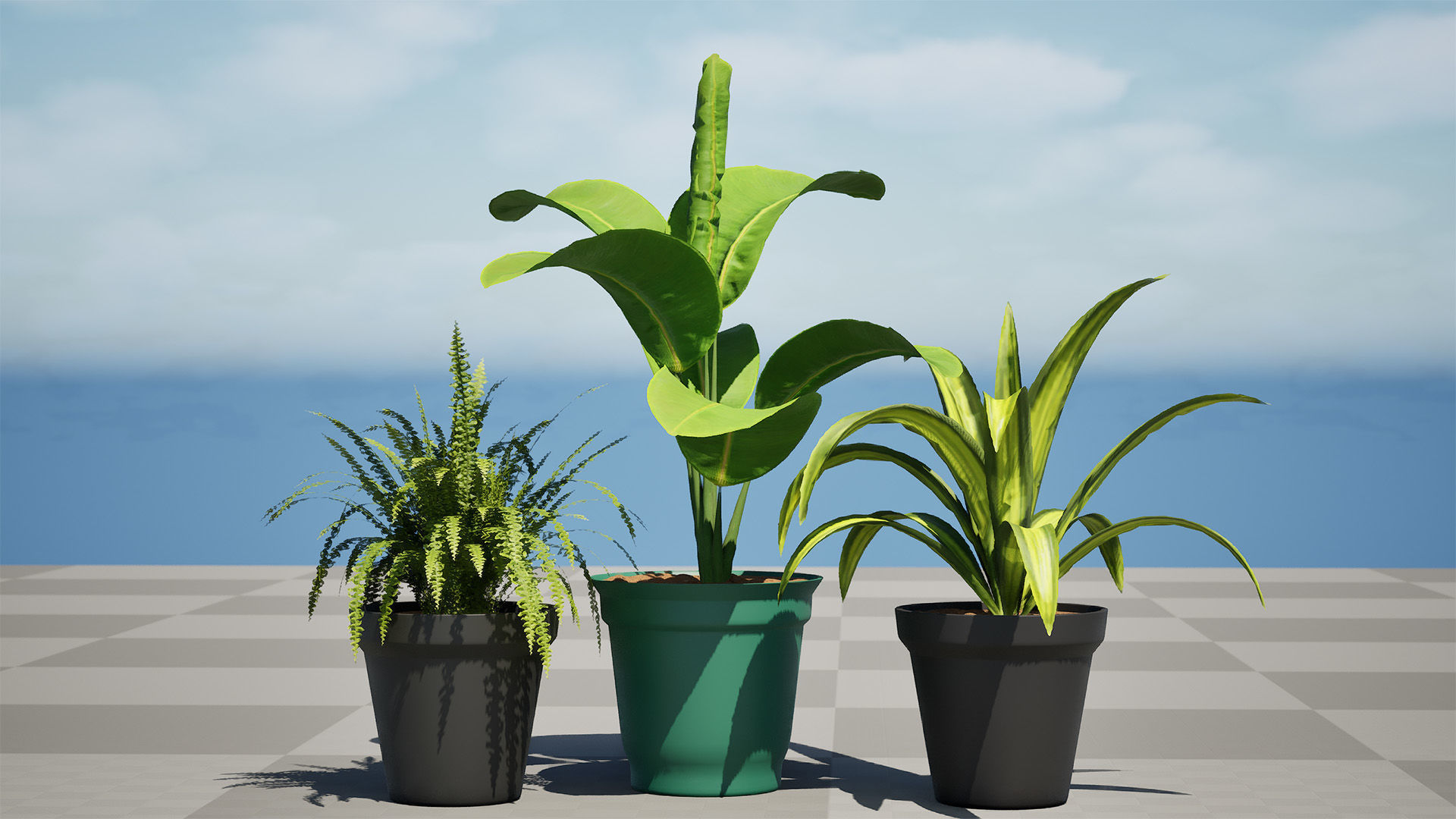 Indoor Potted Plants 3D Model Low-poly 3D model_16