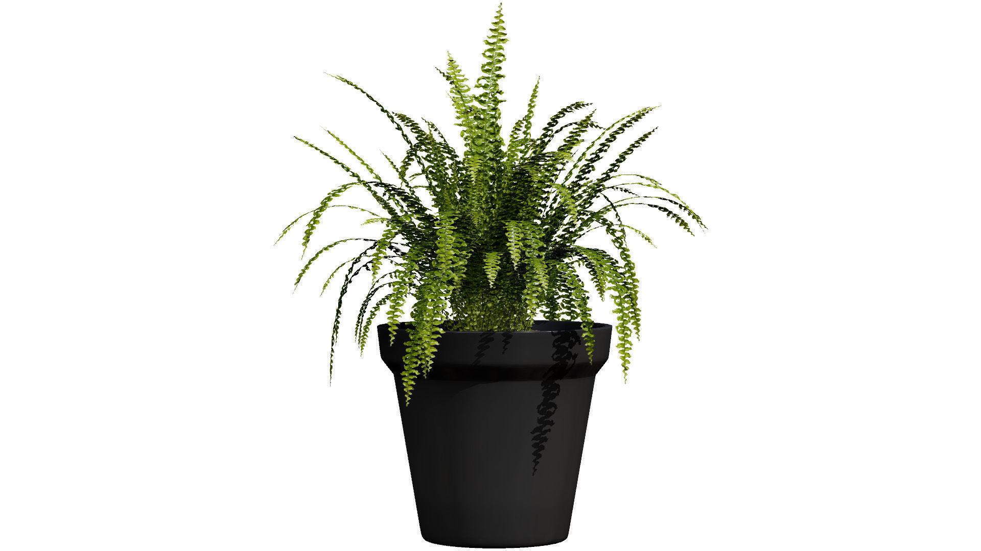 Indoor Potted Plants 3D Model Low-poly 3D model_10