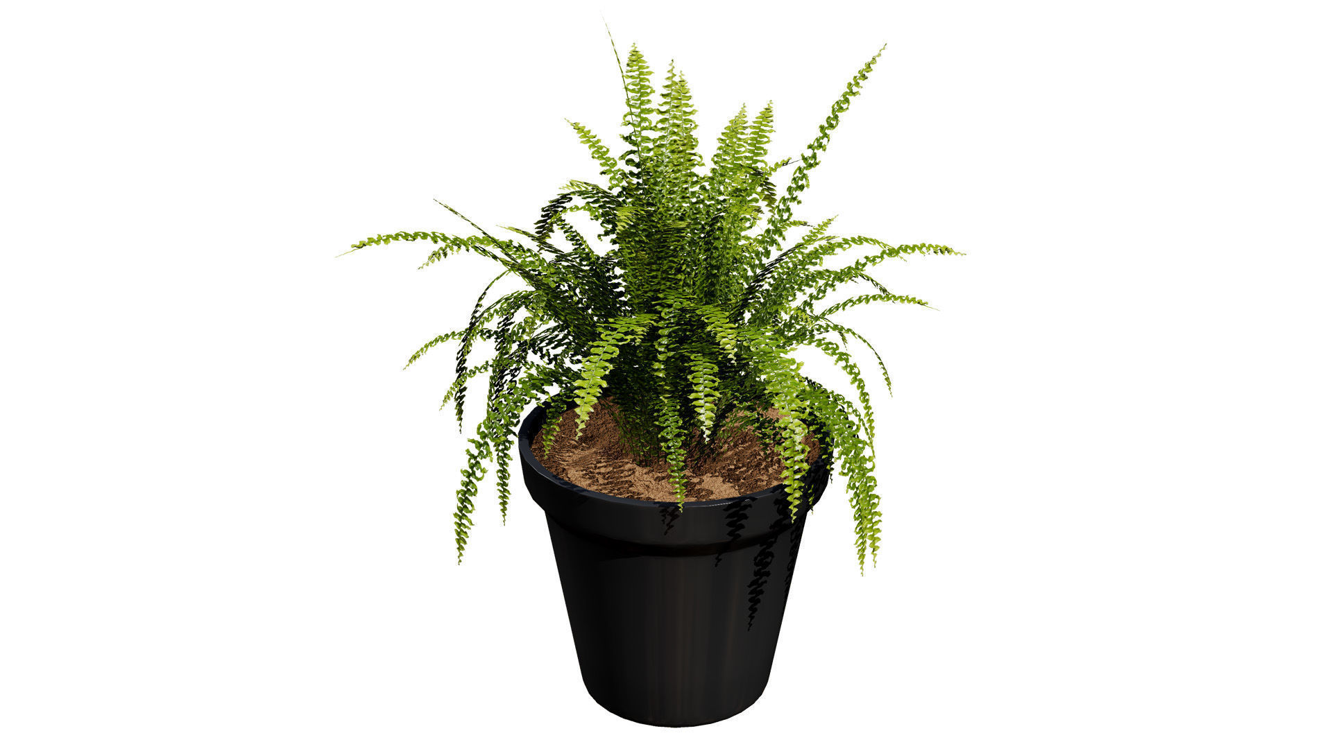 Indoor Potted Plants 3D Model Low-poly 3D model_8