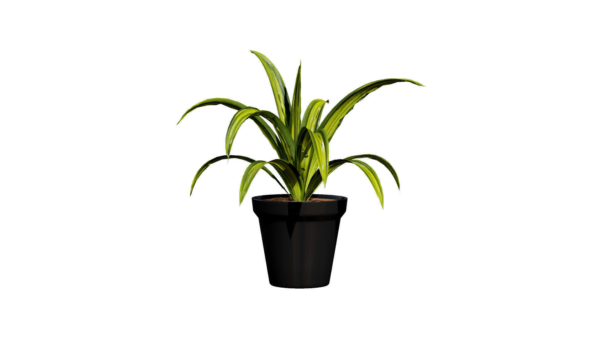 Indoor Potted Plants 3D Model Low-poly 3D model_14