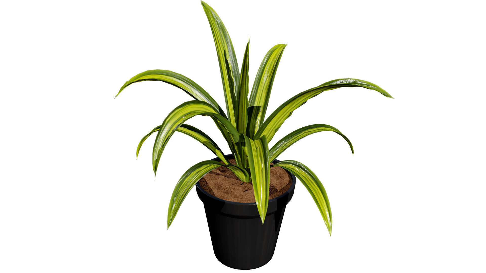 Indoor Potted Plants 3D Model Low-poly 3D model_12